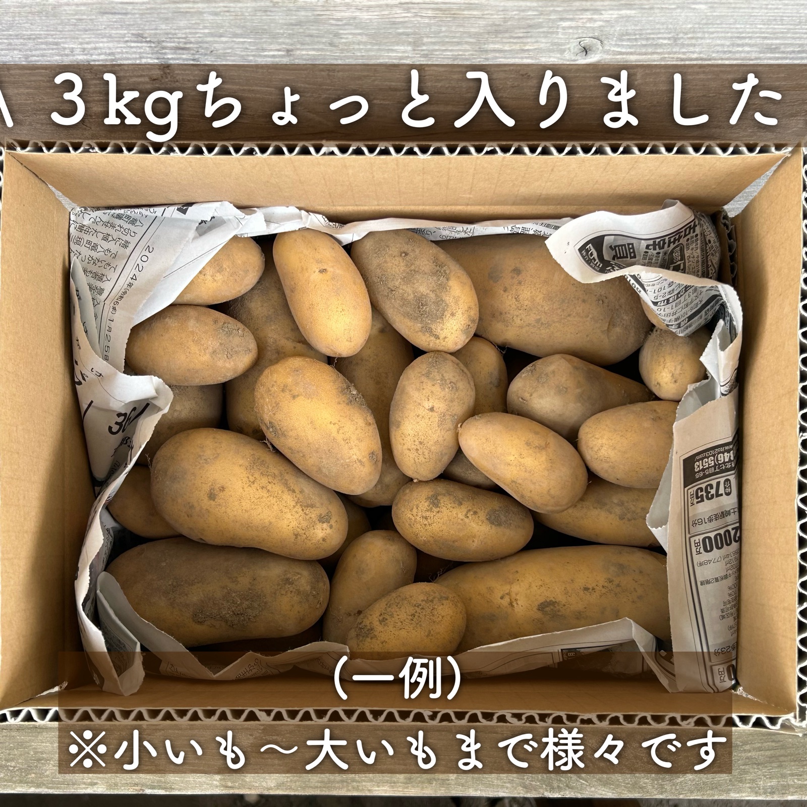 Sサイズ｜信州産｜土付き新じゃが [メークイン] ｜ 野菜/じゃがいも 