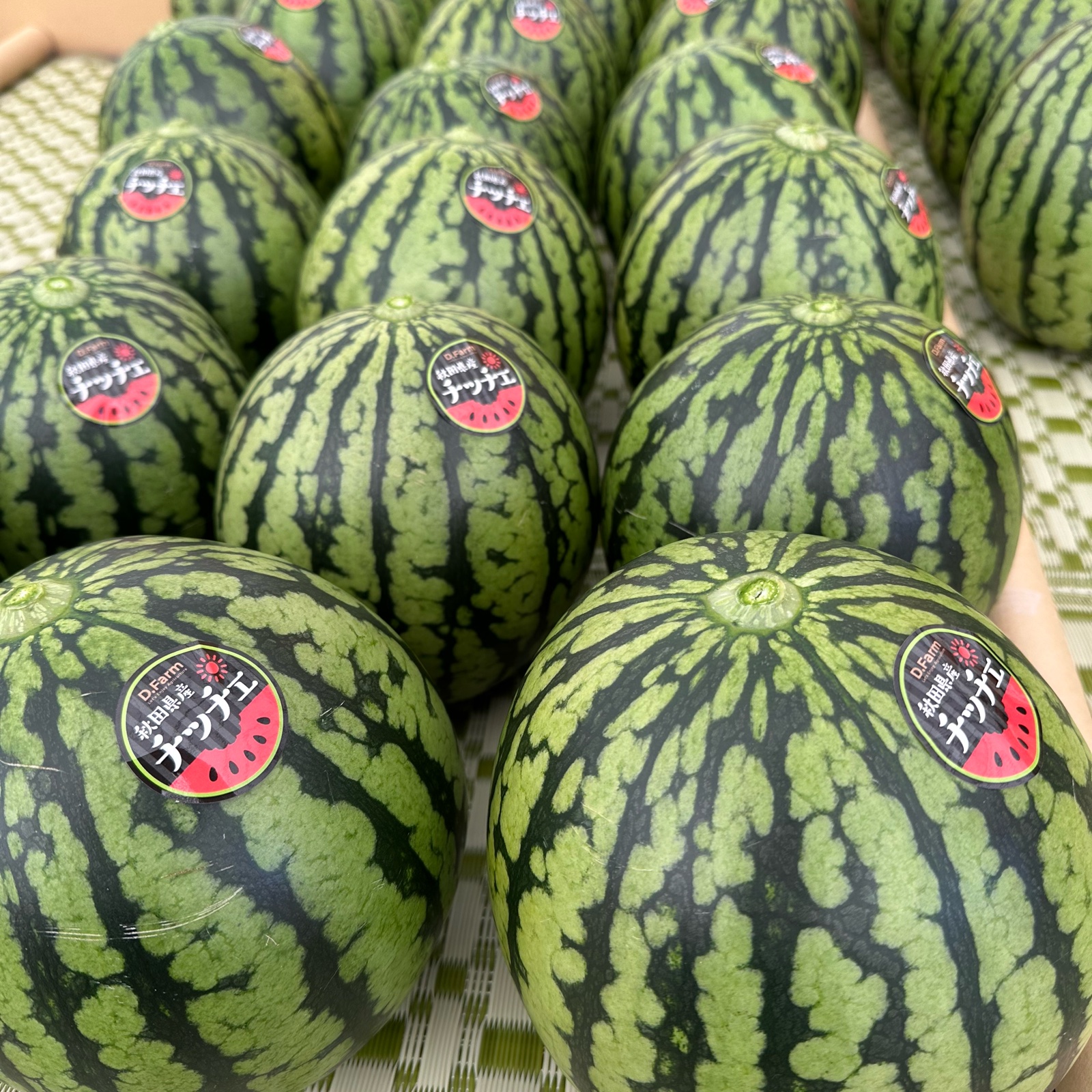 あきた夏丸チッチェ 2玉 ご家庭用 ｜ 果物/スイカ 産直アウル 農家