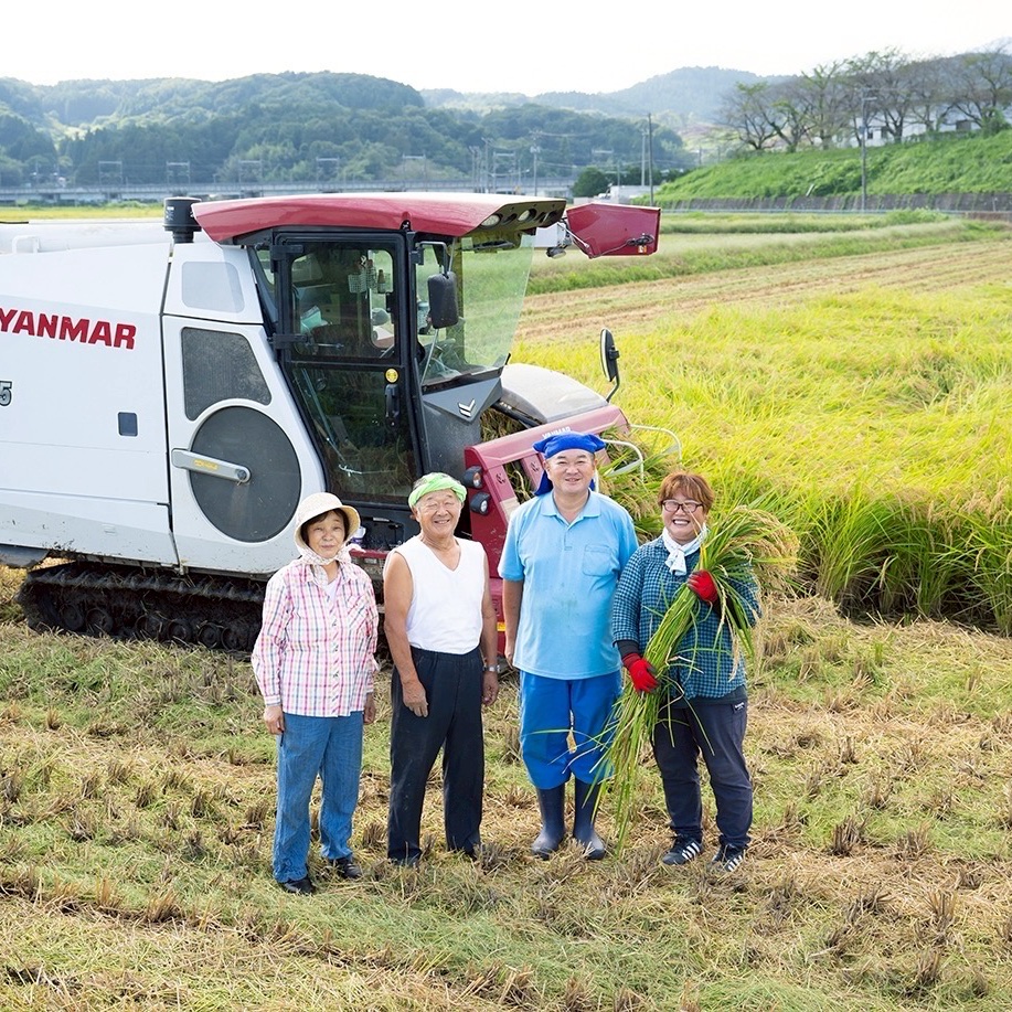 令和7年度産 ひとめぼれ10kg ｜ 米・穀物/米/精米 産直アウル 農家