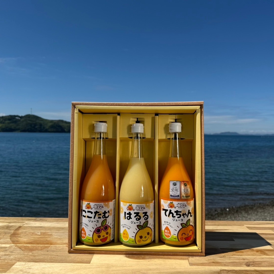 🍊選べるギフトセット🍊てんちゃんジュース3種セット(みっくす
