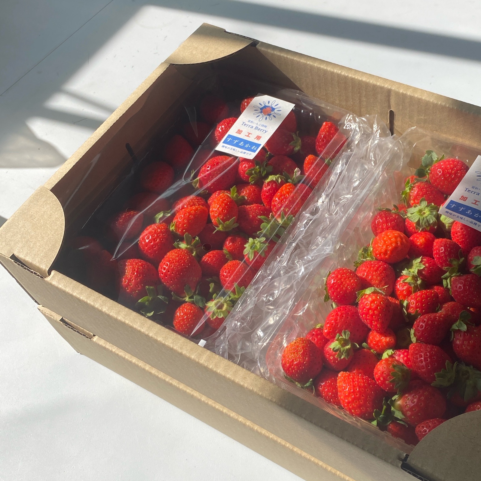 c84d78436a9c9d18c34dca6d9d87d1