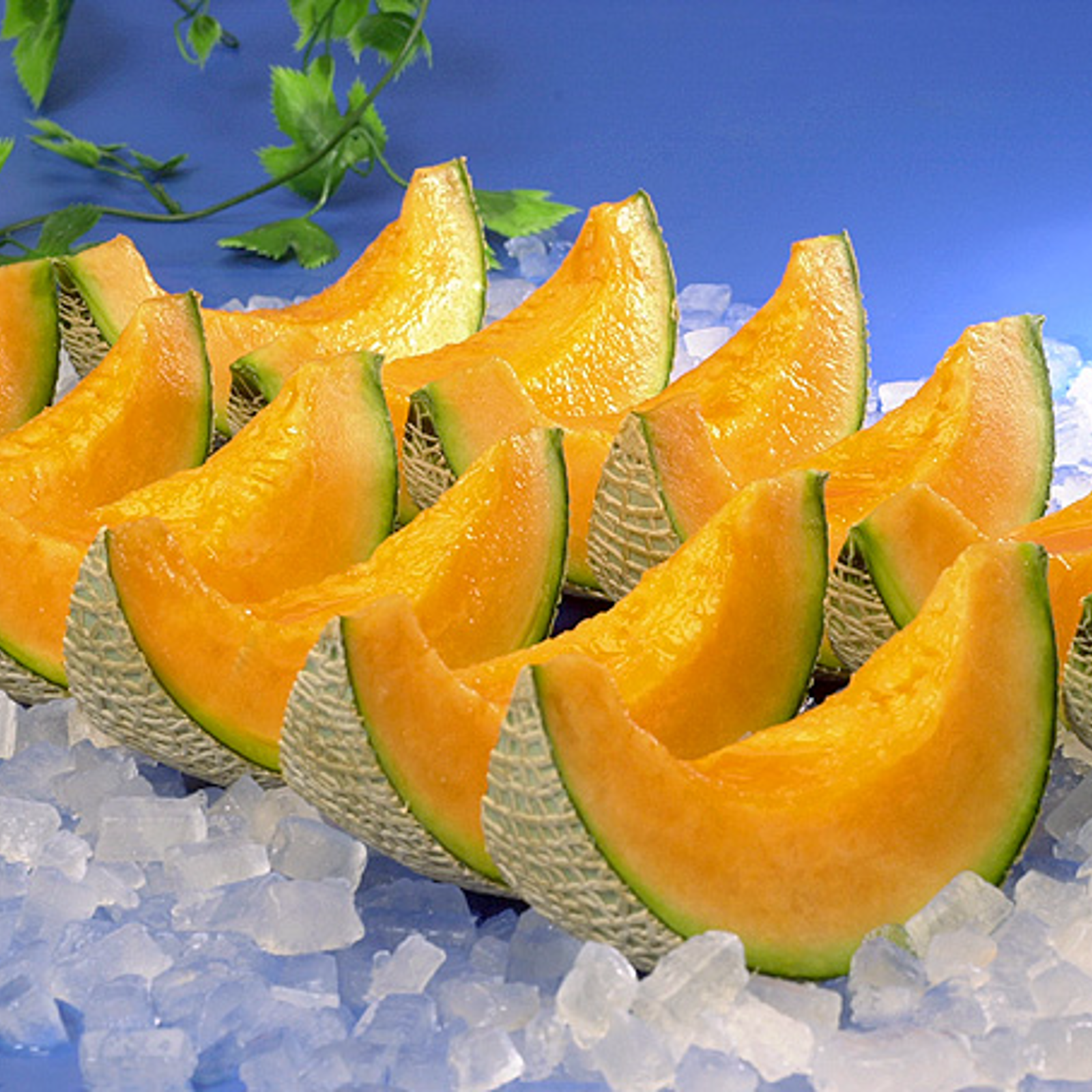 訳北海道赤肉メロン大箱 1箱7～8kg（ 3～7玉入）【旬祭限定】 | 果物