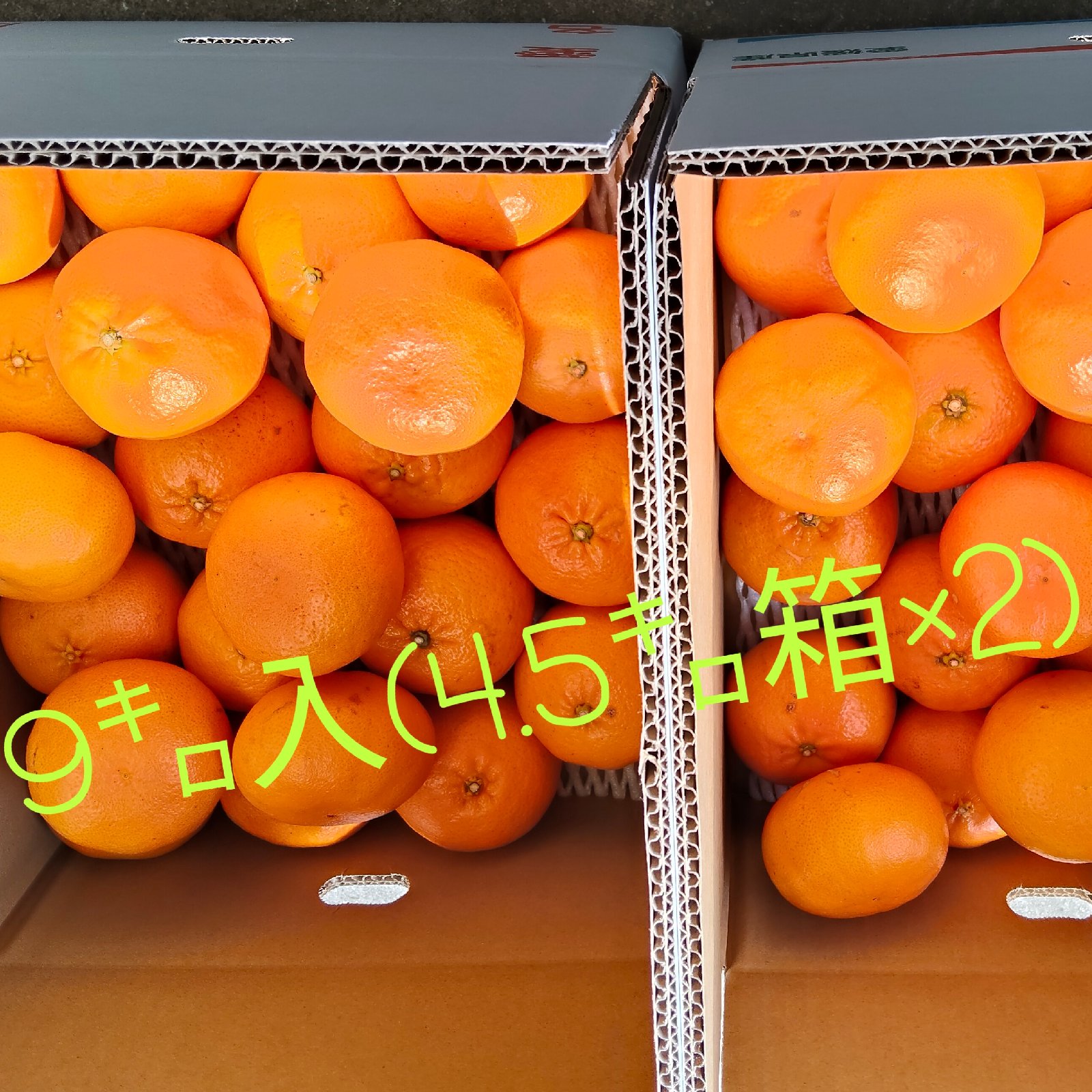 甘平9㌔ 九州〜東北へ発送の方専用ページ | 果物/オレンジ・その他