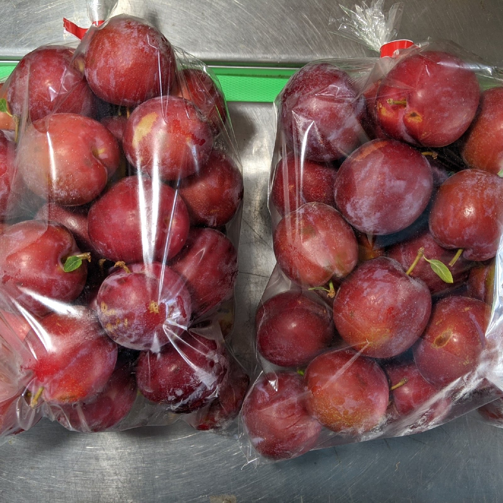 スモモ2.4kg ｜ 果物/すもも・プラム 産直アウル 農家・漁師など生産者