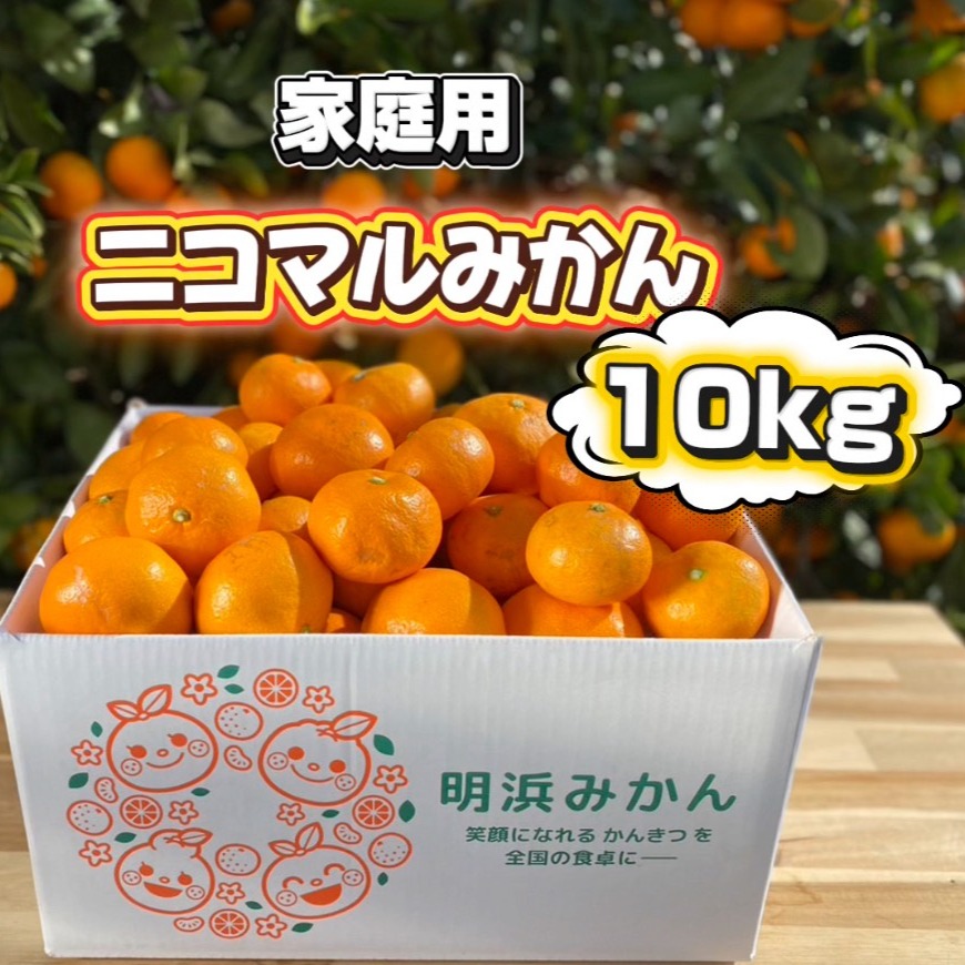 きみまる♥️Ｌ〜Mサイズ　10kg ニコマルみかん 家庭用 10kg ｜ 果物/温州みかん 産直アウル 農家
