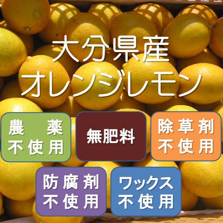 無農薬のオレンジレモン2キロ ｜ 果物/香酸柑橘(ライム・レモン等