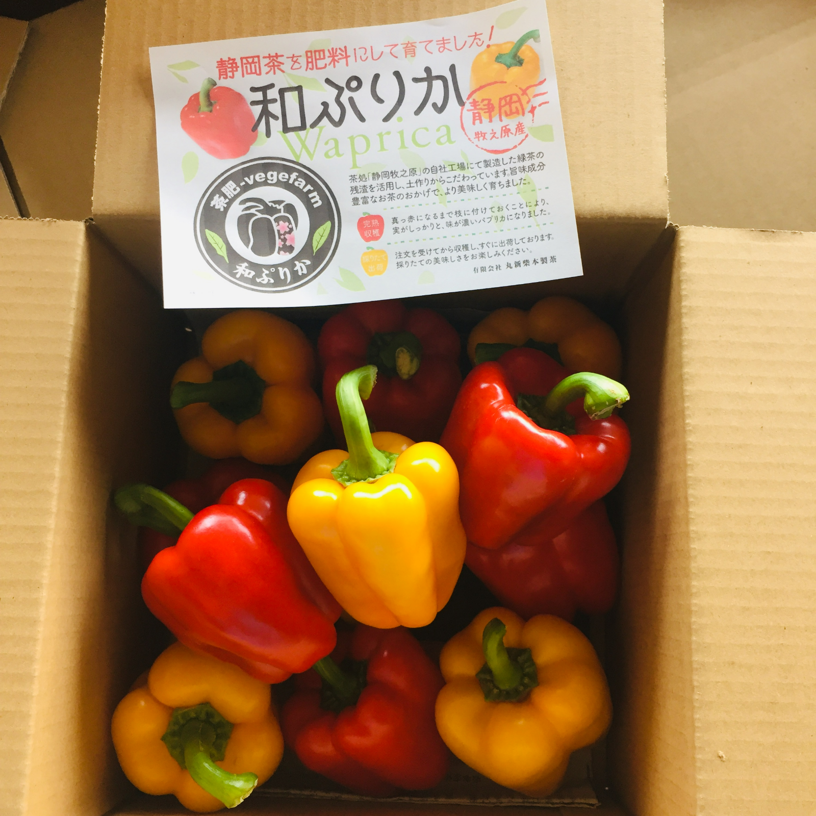 完熟パプリカ 和ぷりか 1kg 小ぶり多いです 野菜 その他野菜 産直アウル Owl 農家から直接野菜などの食材を購入できる産地直送の宅配通販サイト