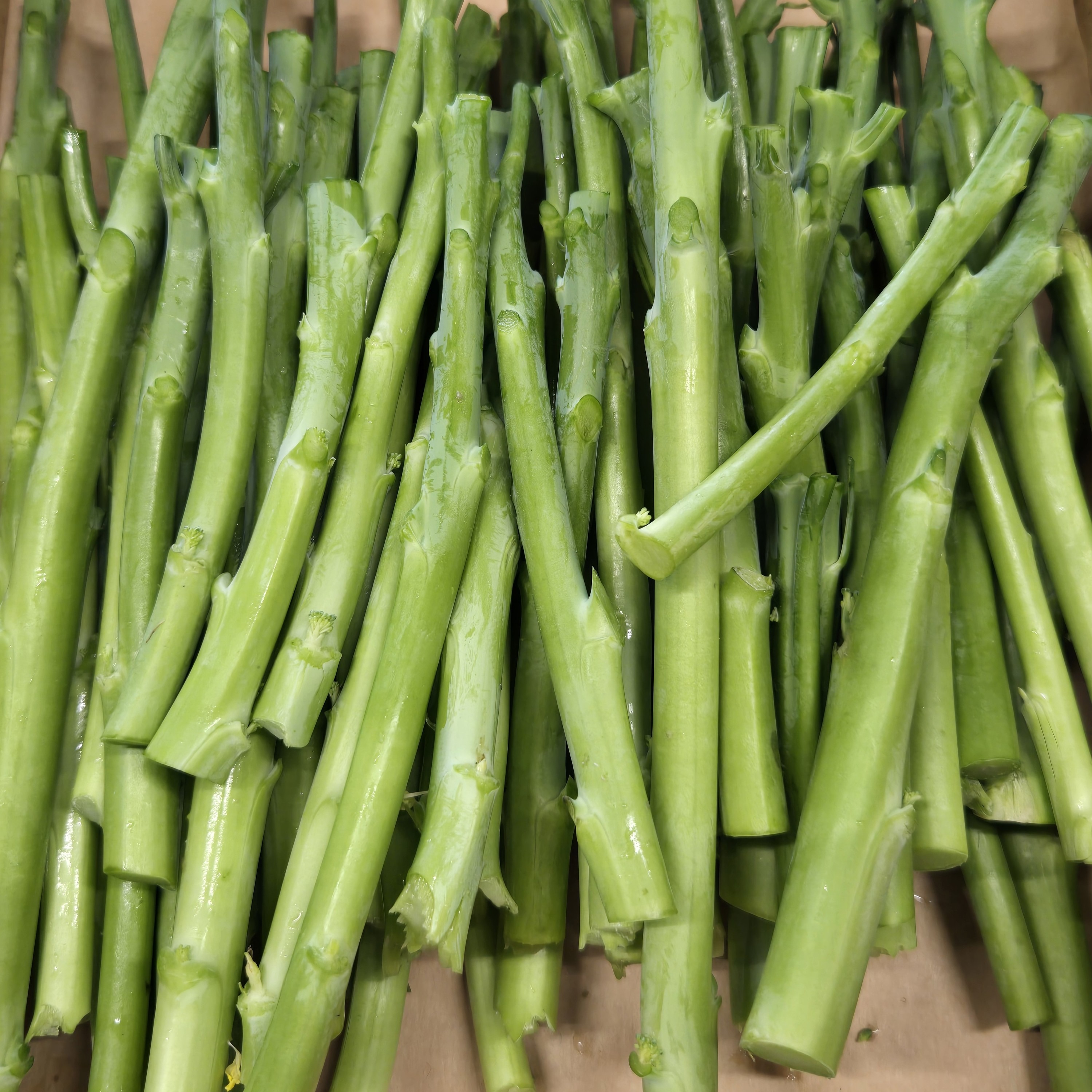 茎だけスティックセニョール ｜ 野菜/その他野菜 産直アウル 農家