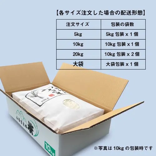 令和8年新米】コシヒカリ 20kg 精米 豊かな甘みと強い粘りのある