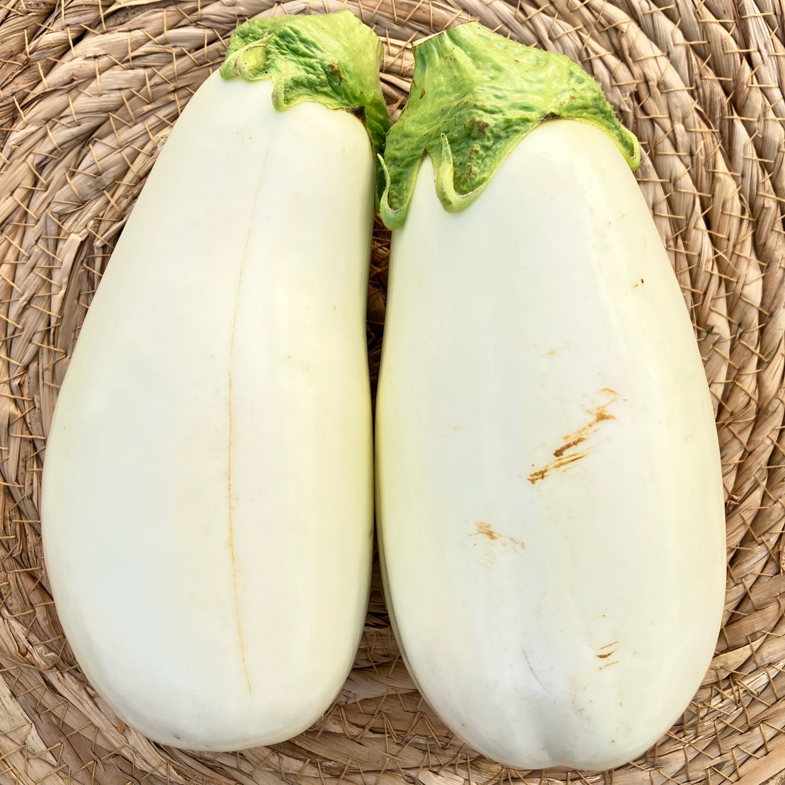 白ナス19kg 白ナス B品『とろ〜り旨なす』 ｜ 野菜/茄子 産直アウル 農家・漁師