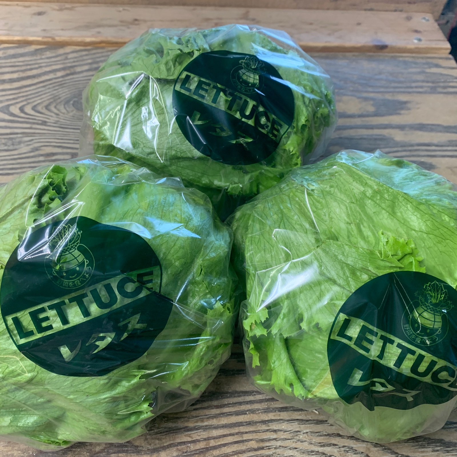 淡路島のレタス ｜ 野菜/レタス 産直アウル 農家・漁師など生産者から