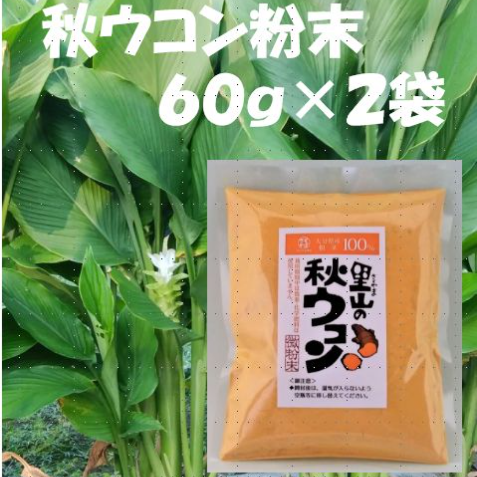 秋ウコン粉末６０ｇ ２袋 加工品 その他加工品 産直アウル 農家から直接野菜などの食材を購入できる産地直送の宅配通販サイト