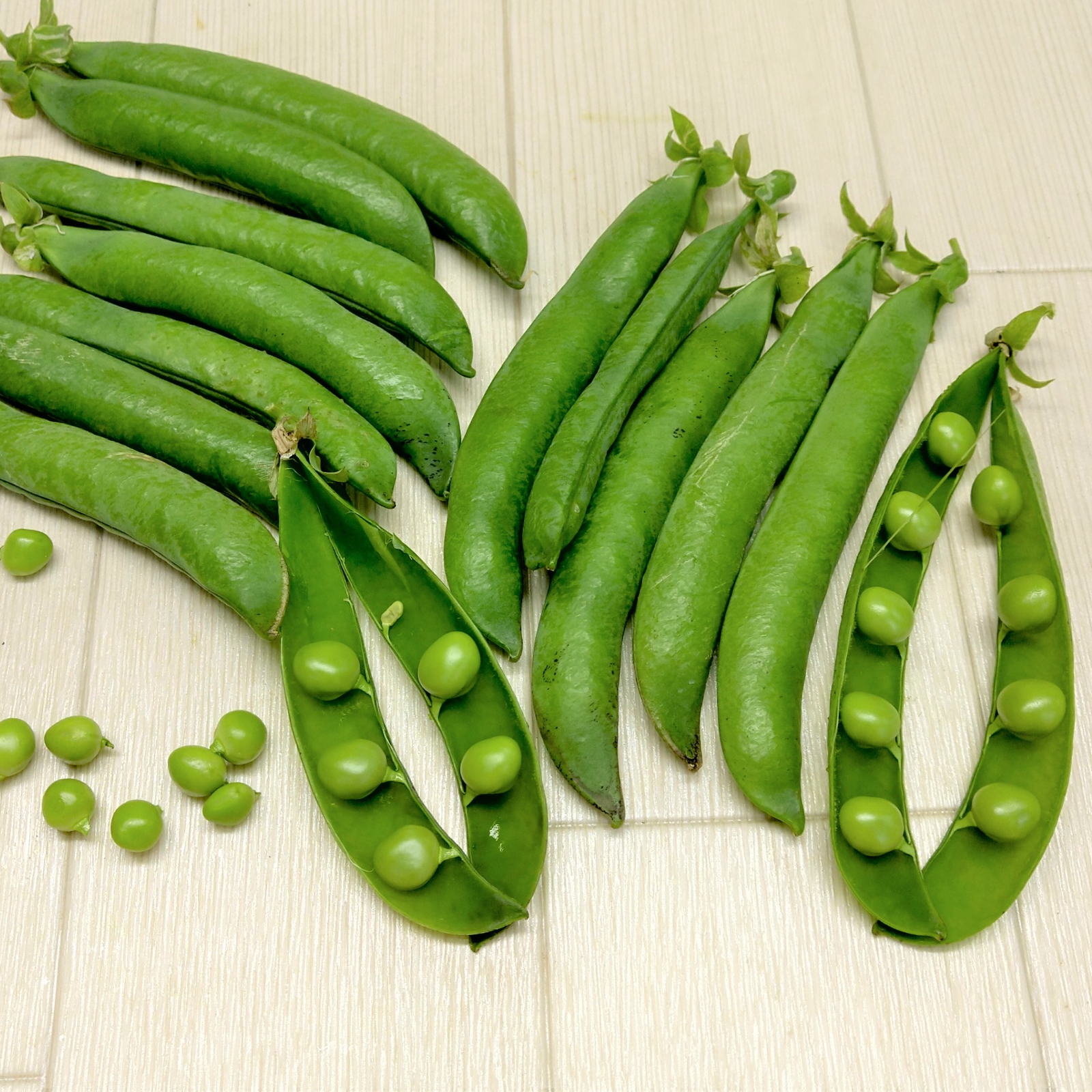 デカッ！( ﾟДﾟ)！莢長最大15㎝のメロン並に甘いグリンピース！ ｜ 野菜 