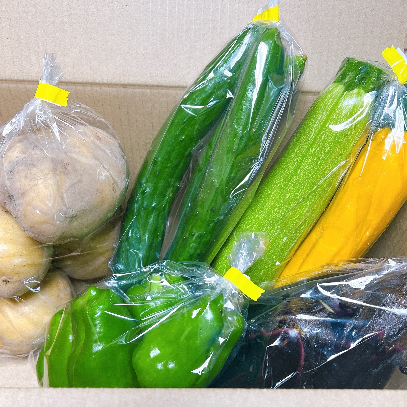 野菜セット完売 旬祭限定】夏野菜セット5種類 ｜ 野菜/野菜セット・詰め合わせ 産直