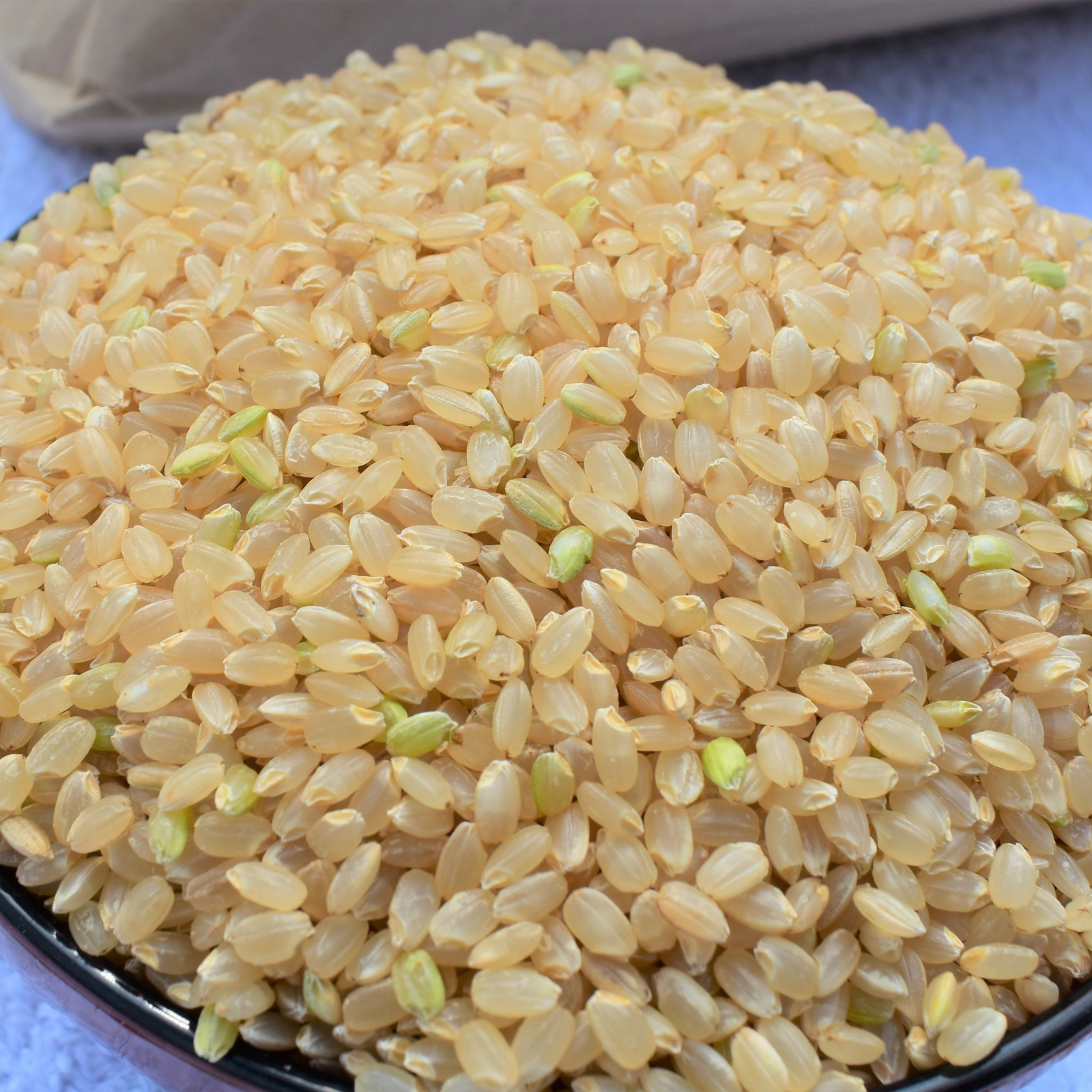 令和2年新米！【食卓応援品】コシヒカリ玄米10kg 数量限定！ ｜ 米 