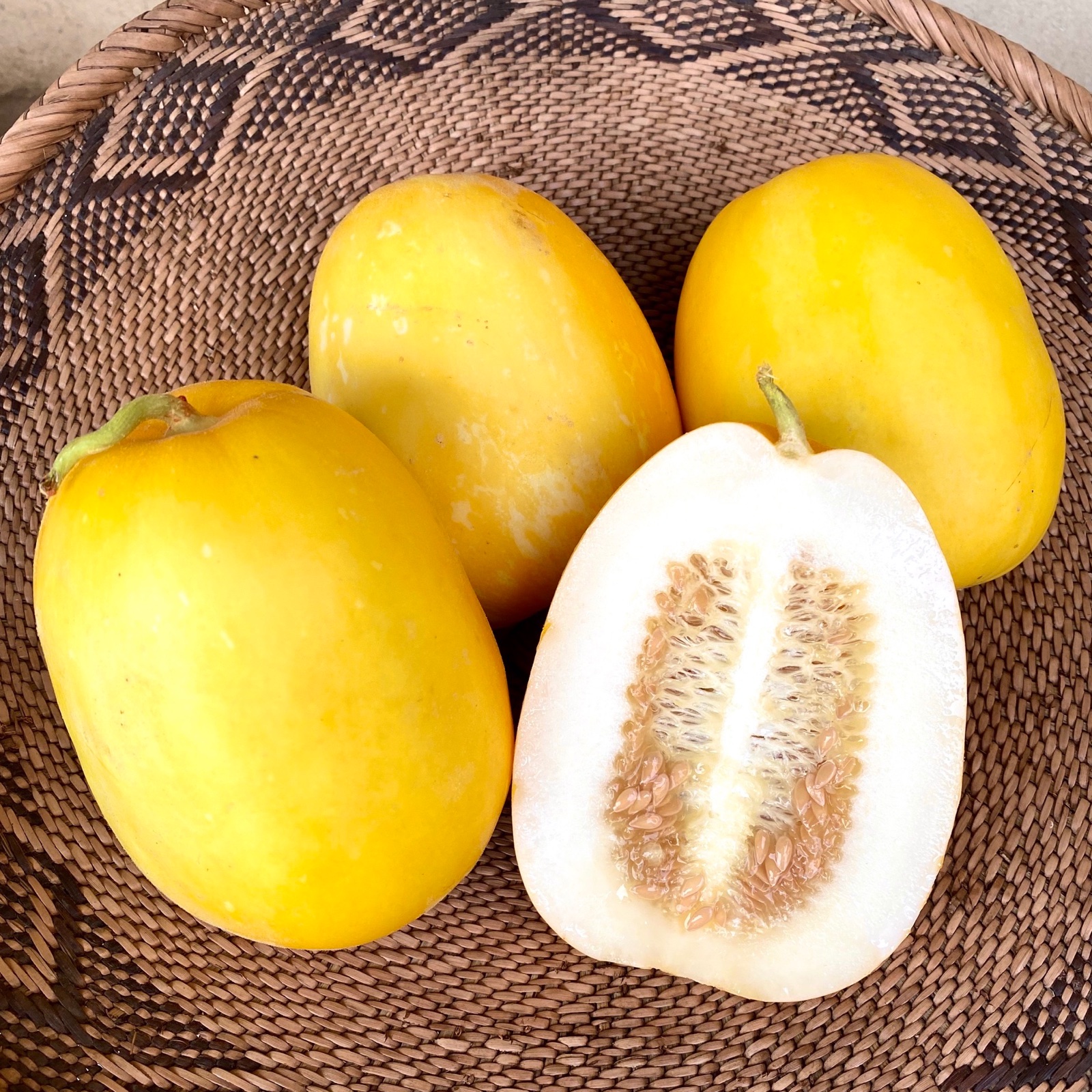 スッキリ甘いデザートマクワウリ ｜ 野菜/その他野菜 産直アウル 農家