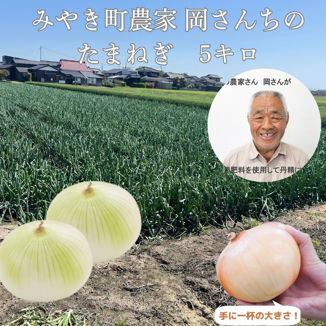 佐賀県みやき町農家 岡さんちのたまねぎ5キロ ｜ 野菜/玉ねぎ 産直
