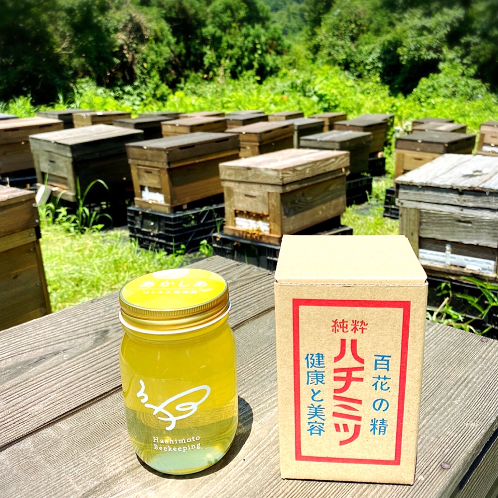 あかしあ500g・春百花蜜500g2本セット ｜ はちみつ/はちみつ 産直