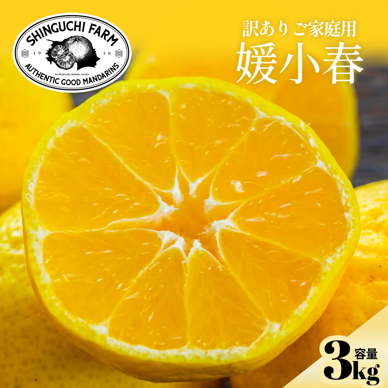 訳ありだけど美味しさそのまま】媛小春 3kg 愛媛県産 | 果物/オレンジ