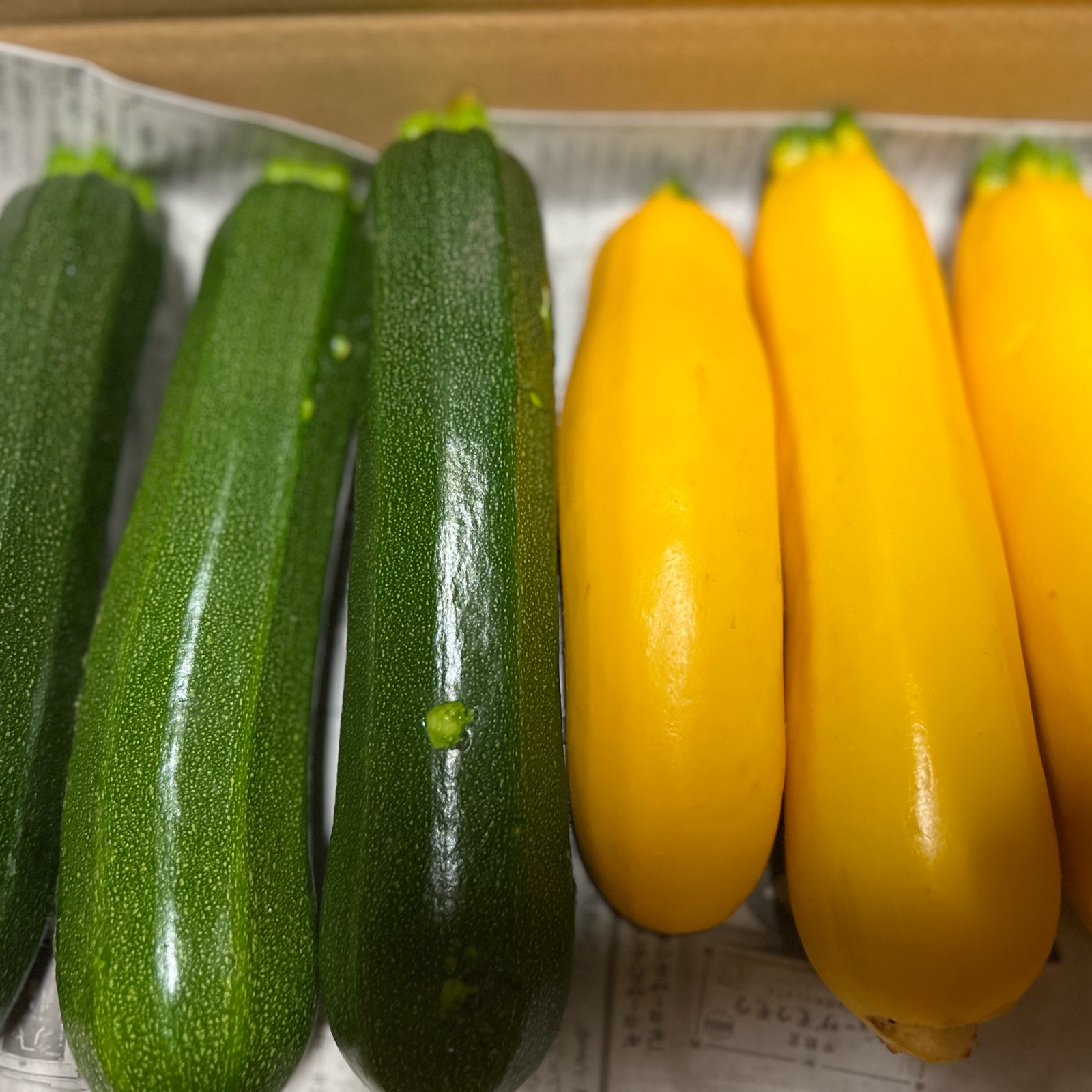 ズッキーニ2色セット 群馬県東吾妻町産 訳あり 1kg | 野菜/ズッキーニ