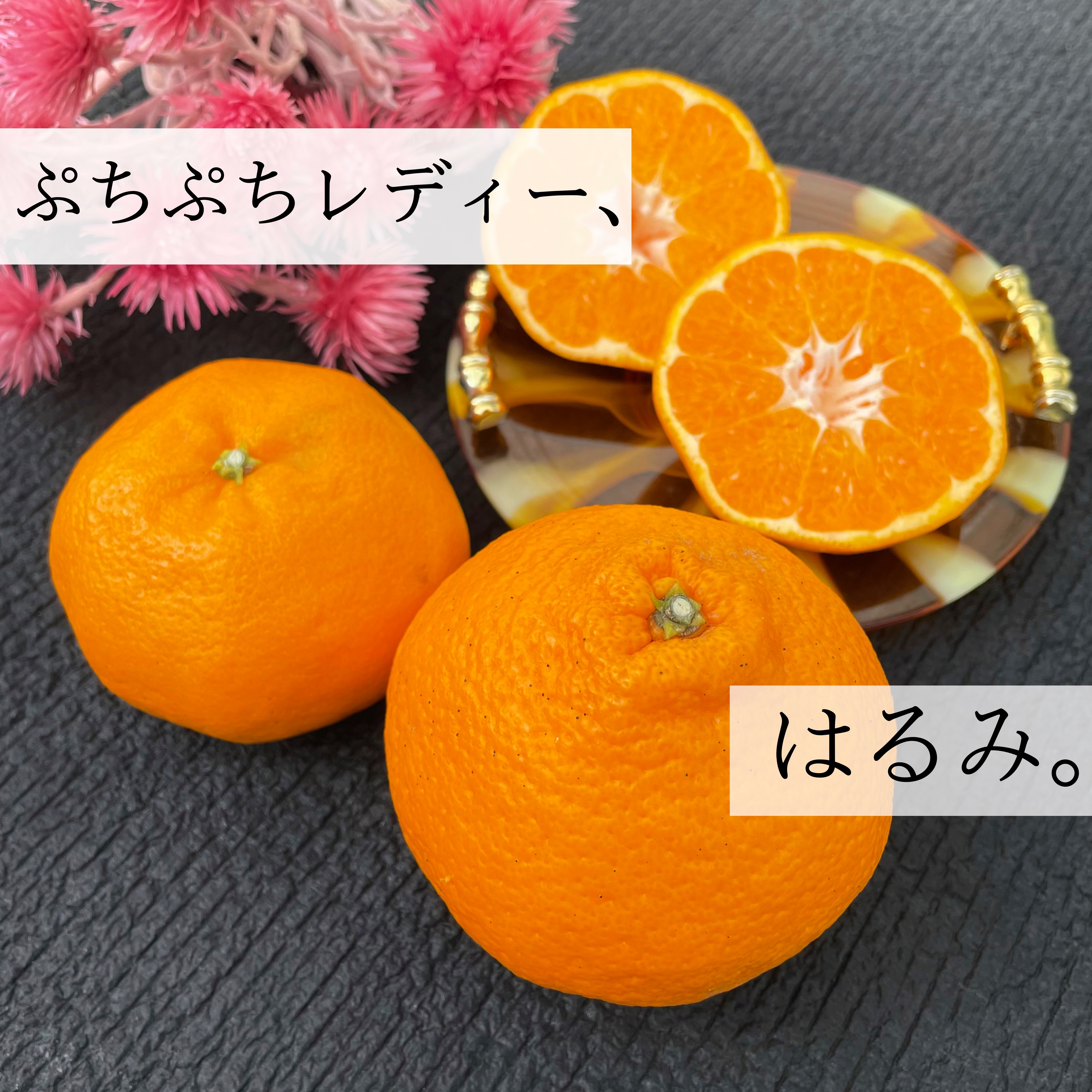ぷちぷちレディー、はるみちゃん🍊🌟秀品Lサイズ以上10〜12玉入り