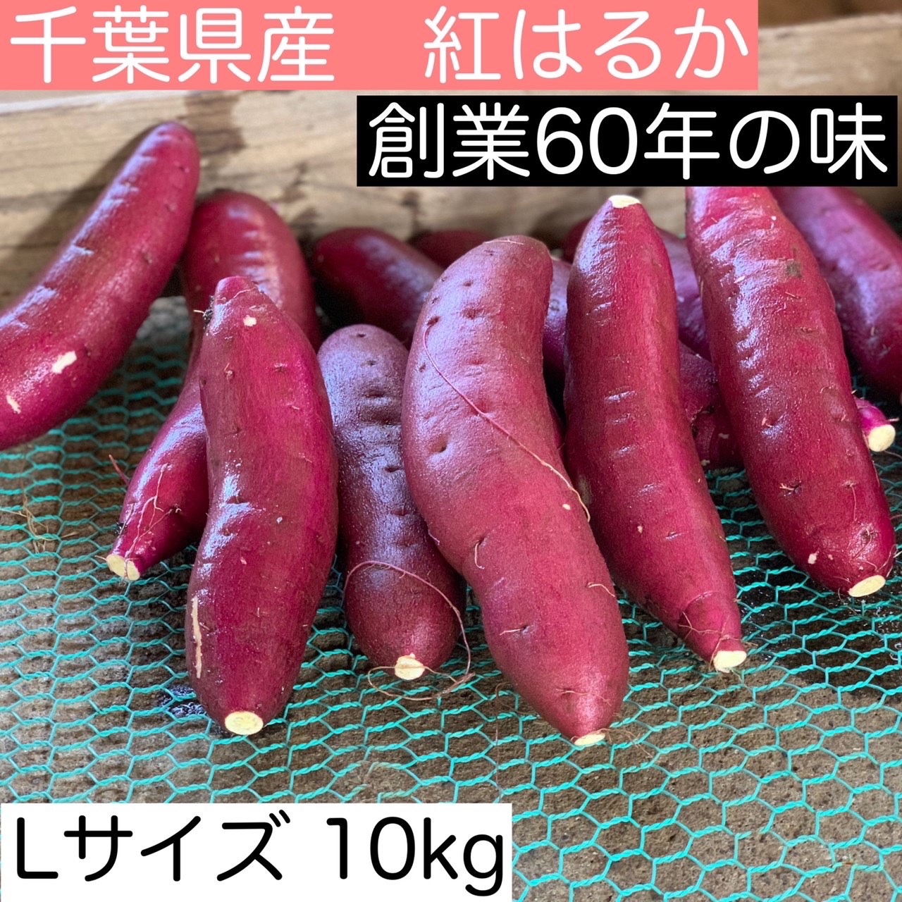 さべにはるか A品L10kg 丸L 10kg 紅はるか 10kg」の人気商品一覧・価格