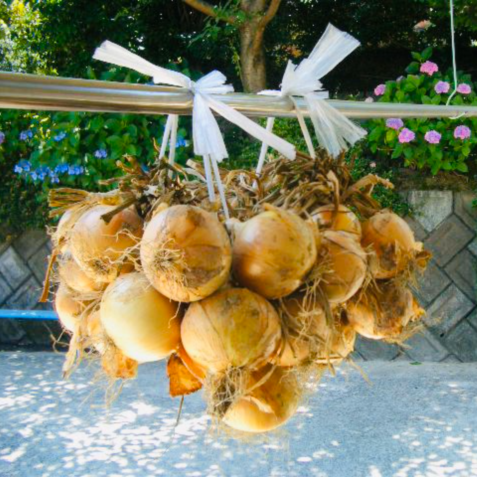 爛♡爛　玉ねぎ　10キロ 爛♡爛様専用 玉ねぎ 10キロ 令和6年淡路島産玉ねぎ 最高