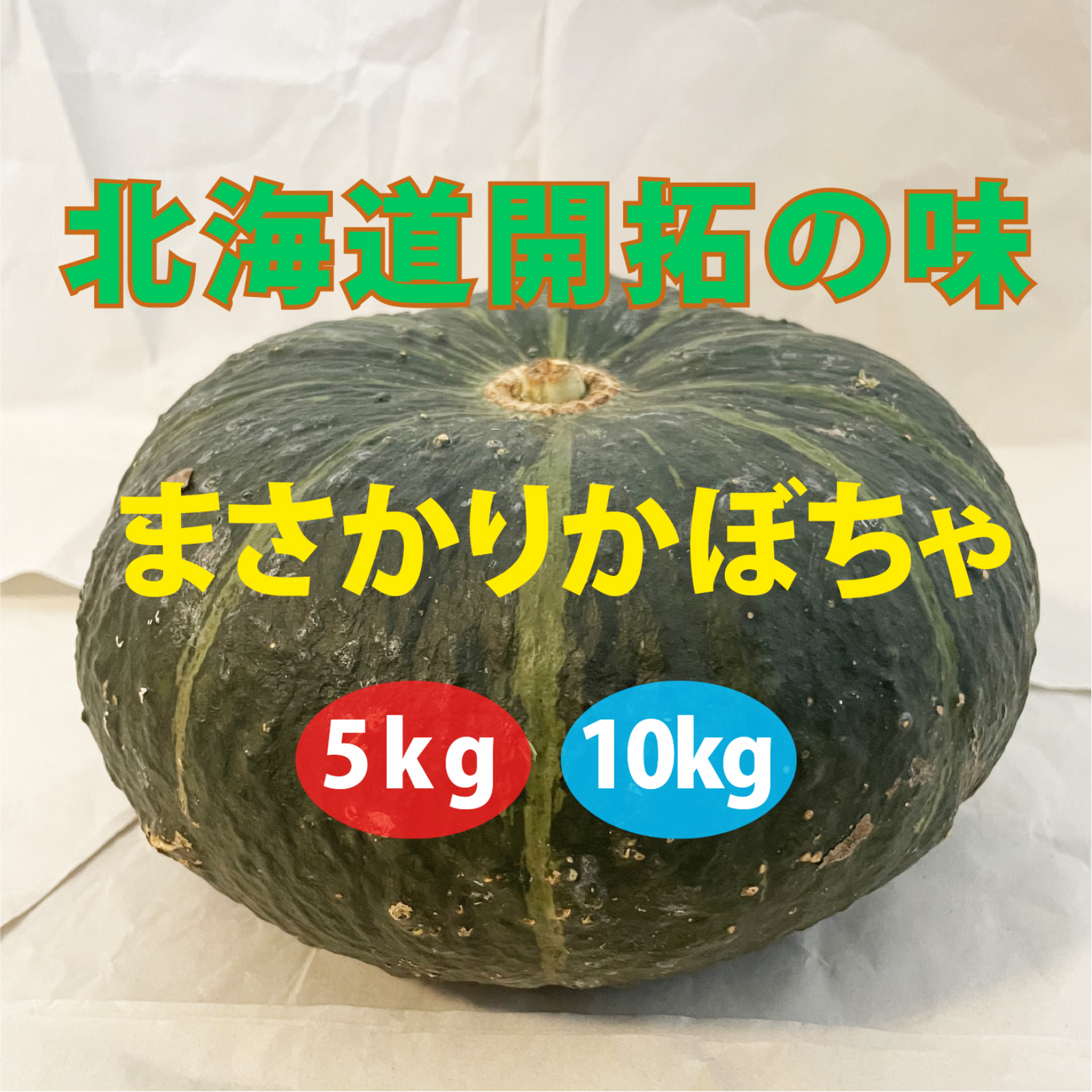 かぼちゃさま専用