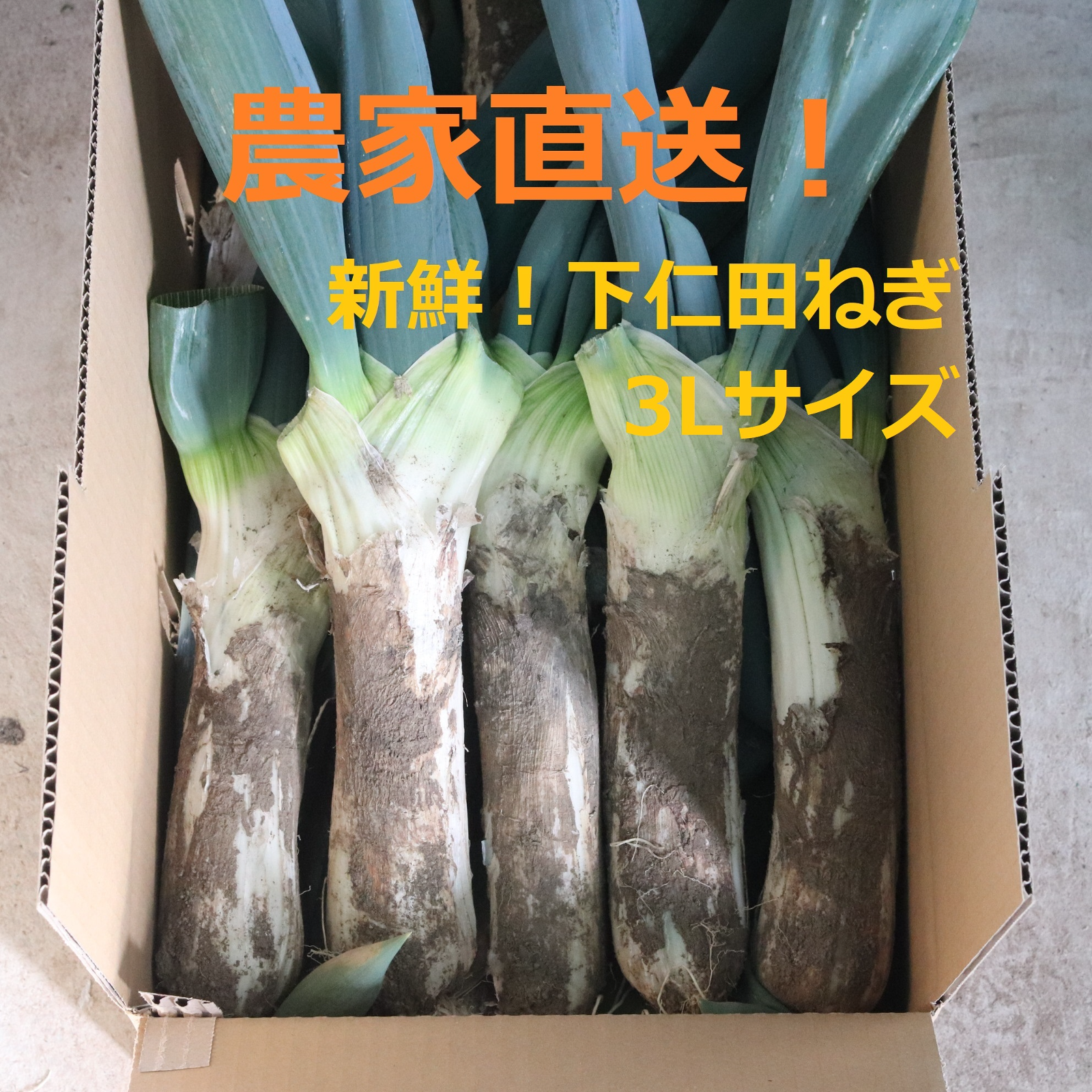30日までに発送！】《3L 13～14本》厳冬期！姿は△、味は◎！お蚕さま