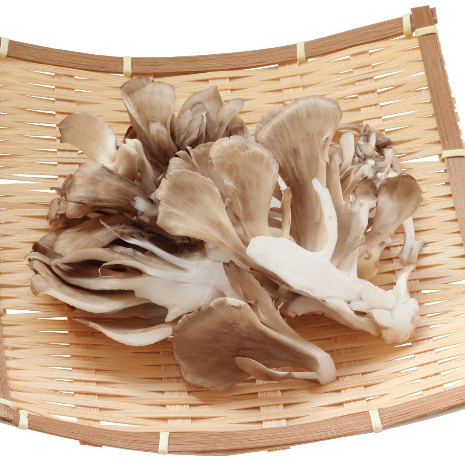 天然きのこ　マイタケ（注文品） 天然まいたけ」300g 秋の旬 香り抜群 天然の風味【予約】 | 野菜