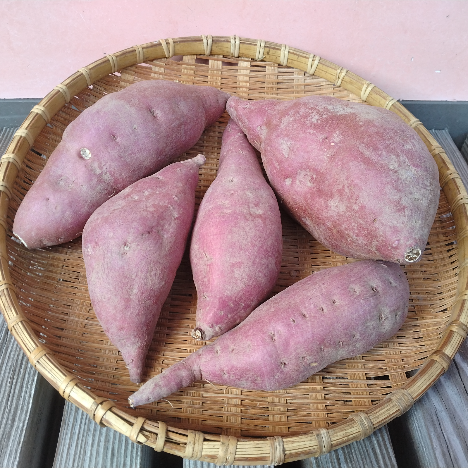 ホクホク系 土佐紅金時6kg 【農薬・化学肥料 不使用】 ｜ 野菜