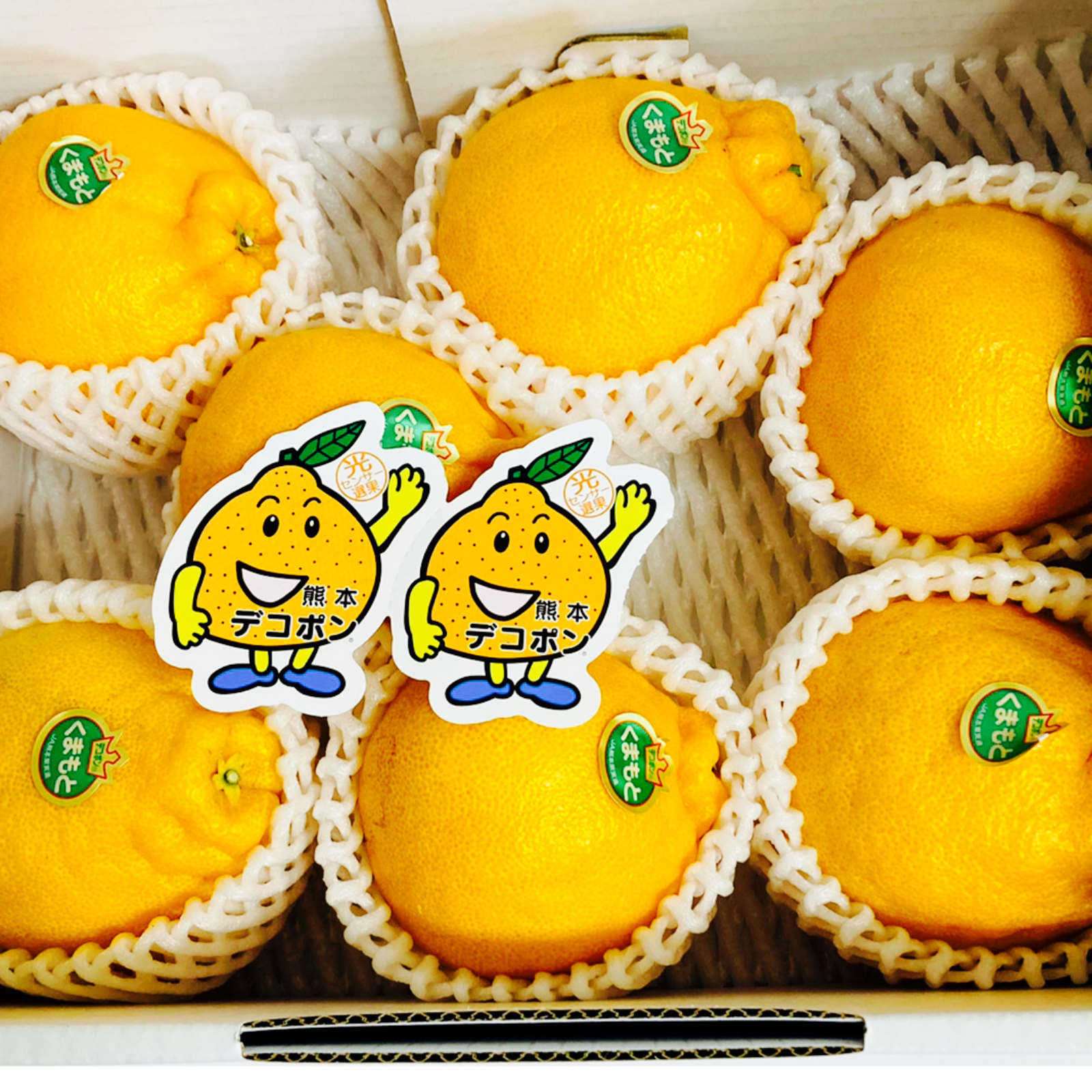 熊本県産 秀品 JAデコポン専用箱あり 合計約4㎏ 約2㎏×2箱 DEKOPON