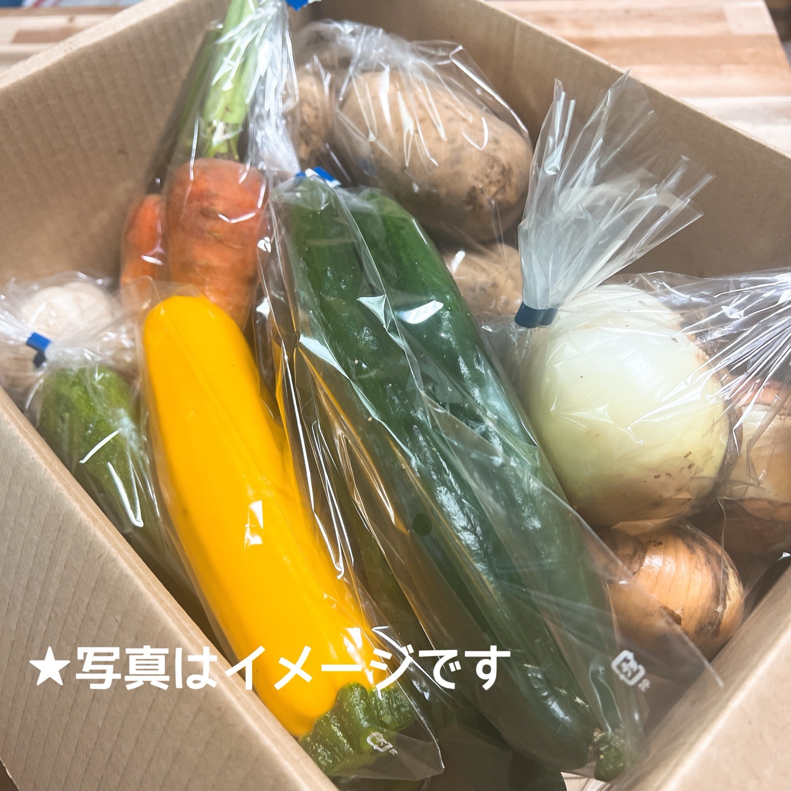 旬祭限定】たっぷり夏野菜セット60サイズ ｜ 野菜/野菜セット