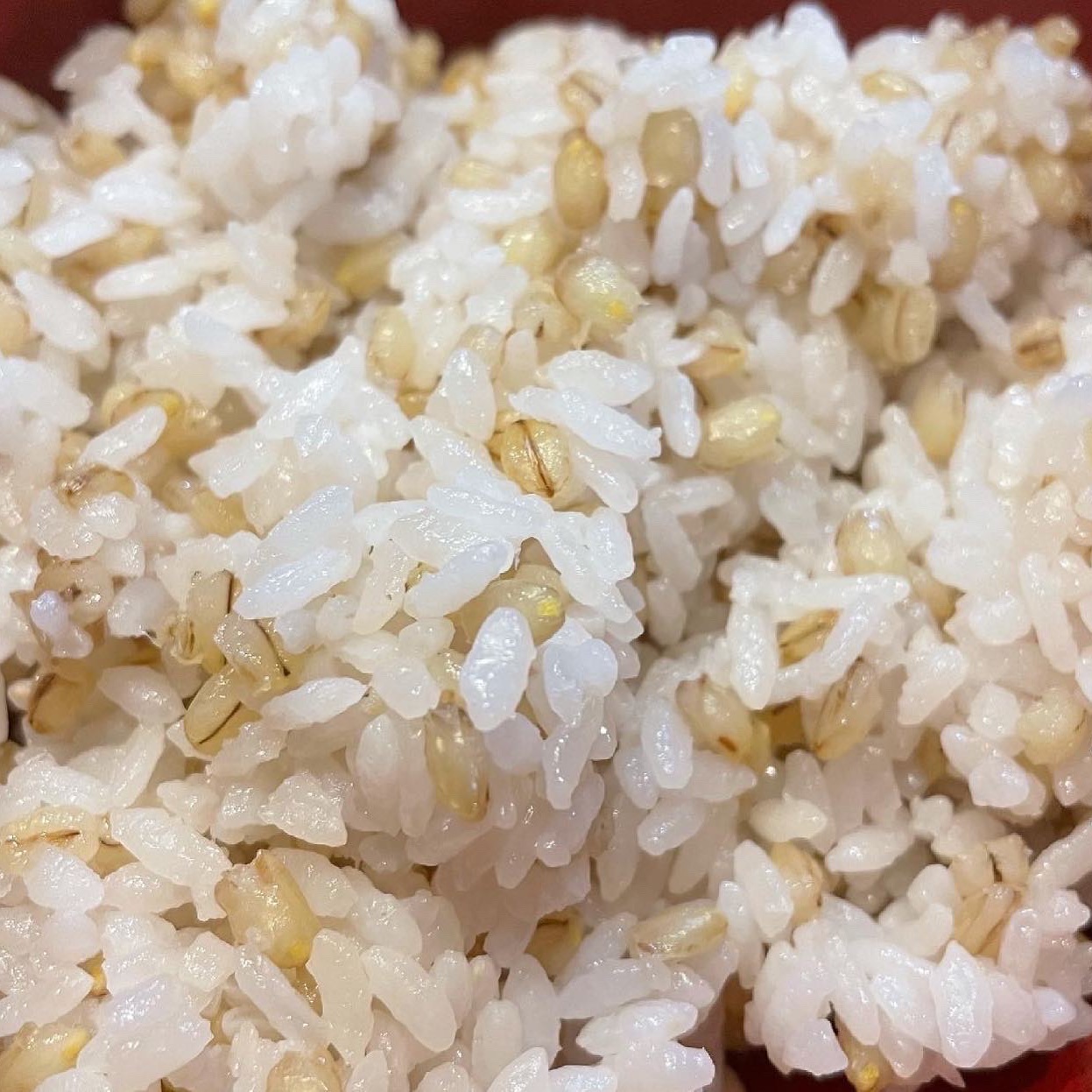 富士山の麓で育った紫もち麦(ダイシモチ)玄麦1kg、白もち麦(きはだもち