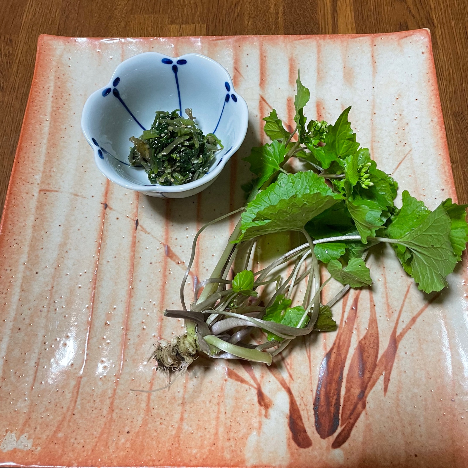 天然山ワサビ ｜ 野菜/山菜 産直アウル 農家・漁師など生産者から直接