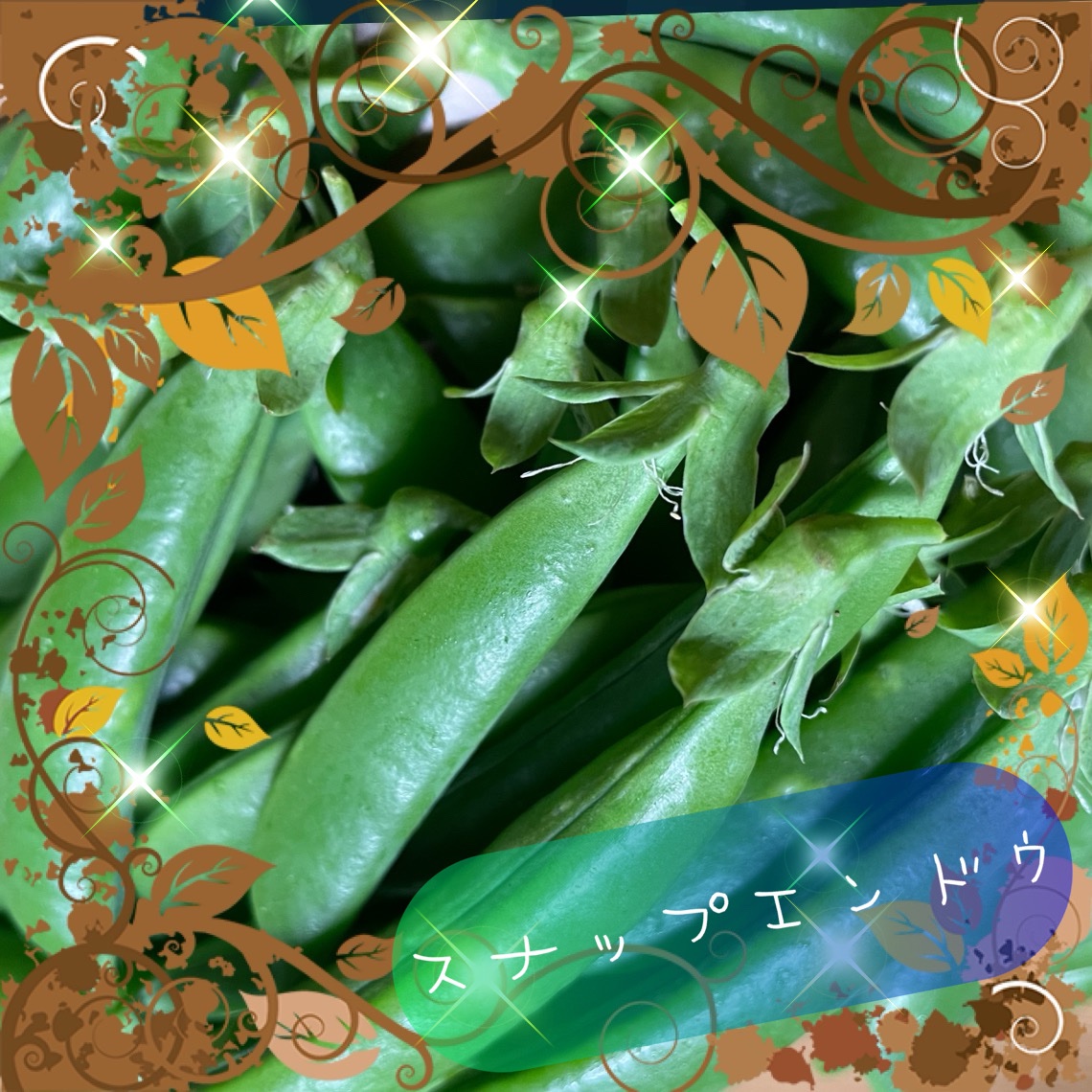 スナップえんどう 約9kg 送料込 スナップエンドウ ｜ 野菜/豆類 産直アウル 農家・漁師など生産者から
