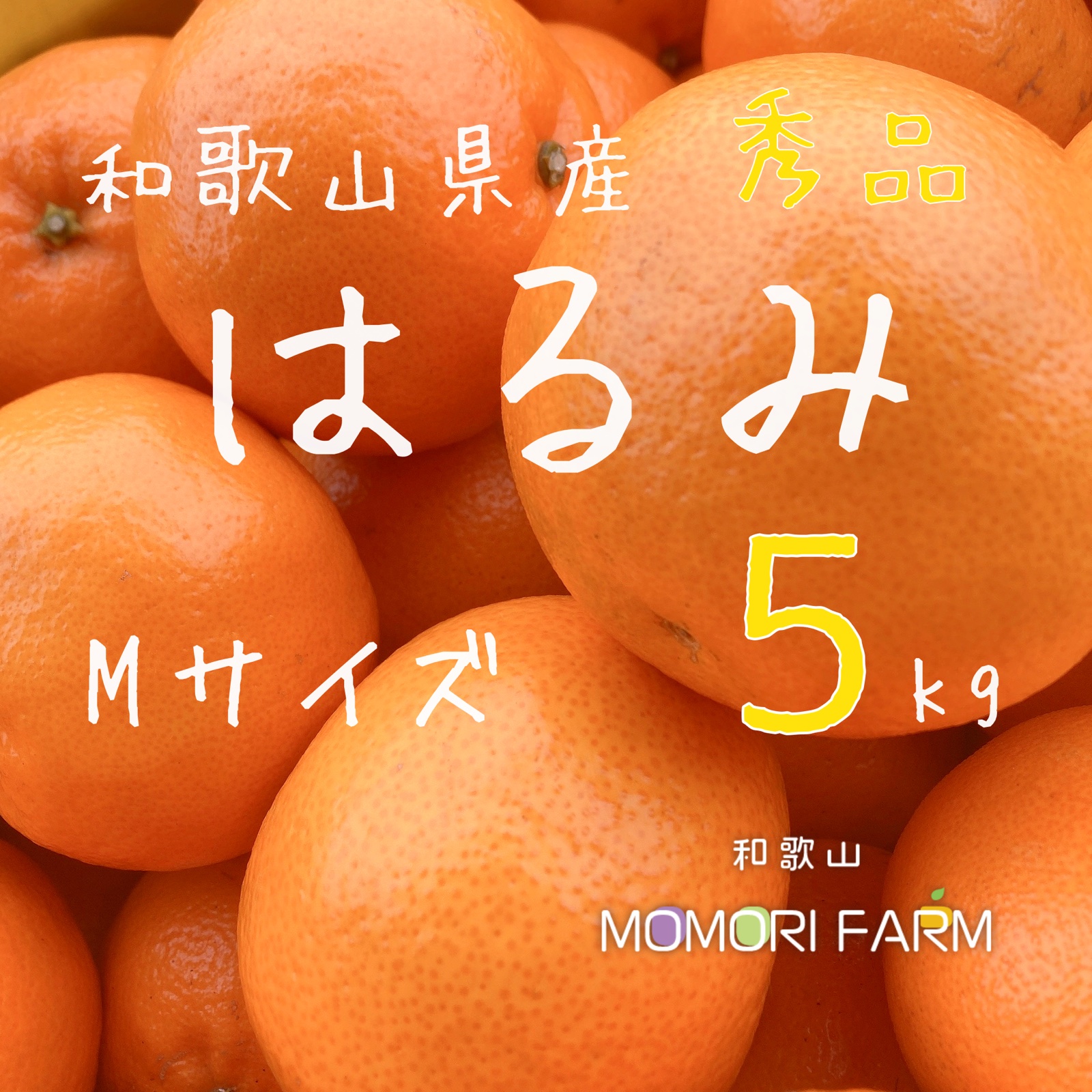アウルの日】はるみ 秀品 Mサイズ 約5kg ｜ 果物/オレンジ・その他