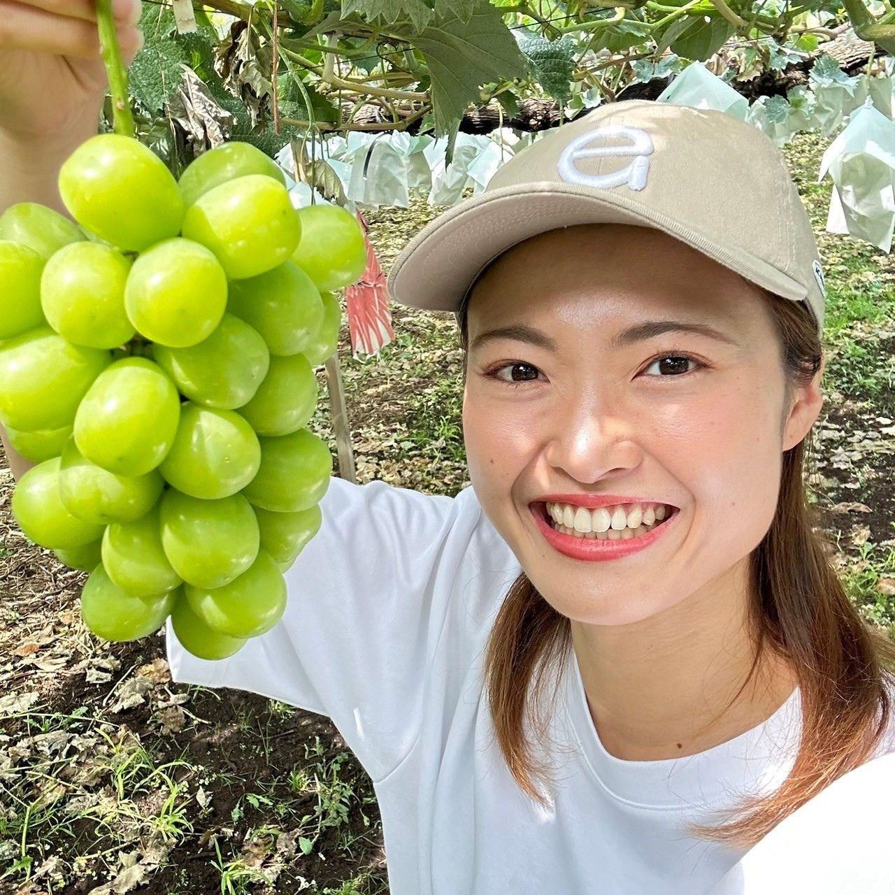 紫檀　揚子卓　大仙作　共箱　共布有　美品