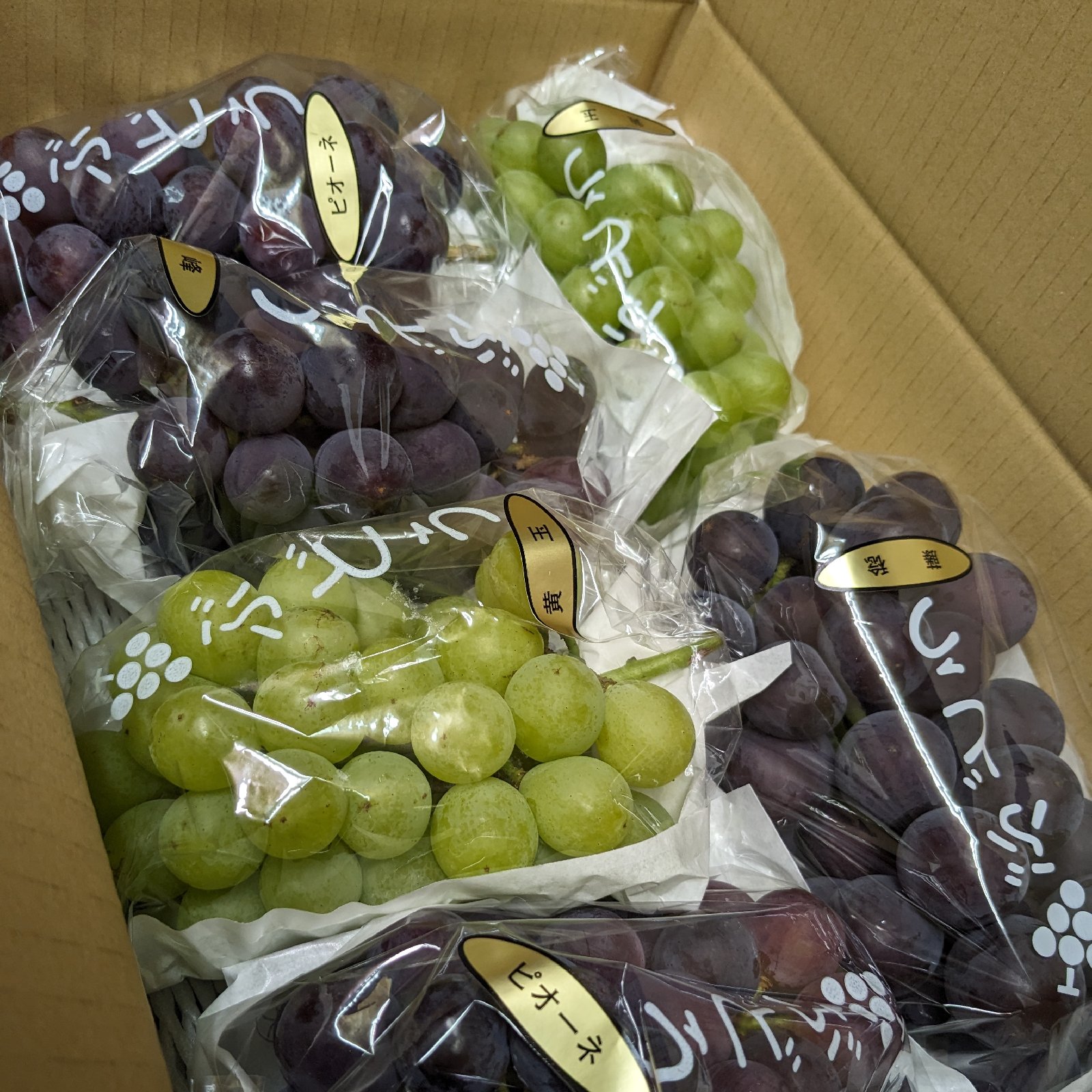 太田ぶどう園のぶどう1.5kg | 果物/ぶどう 産直アウル 農家から直接