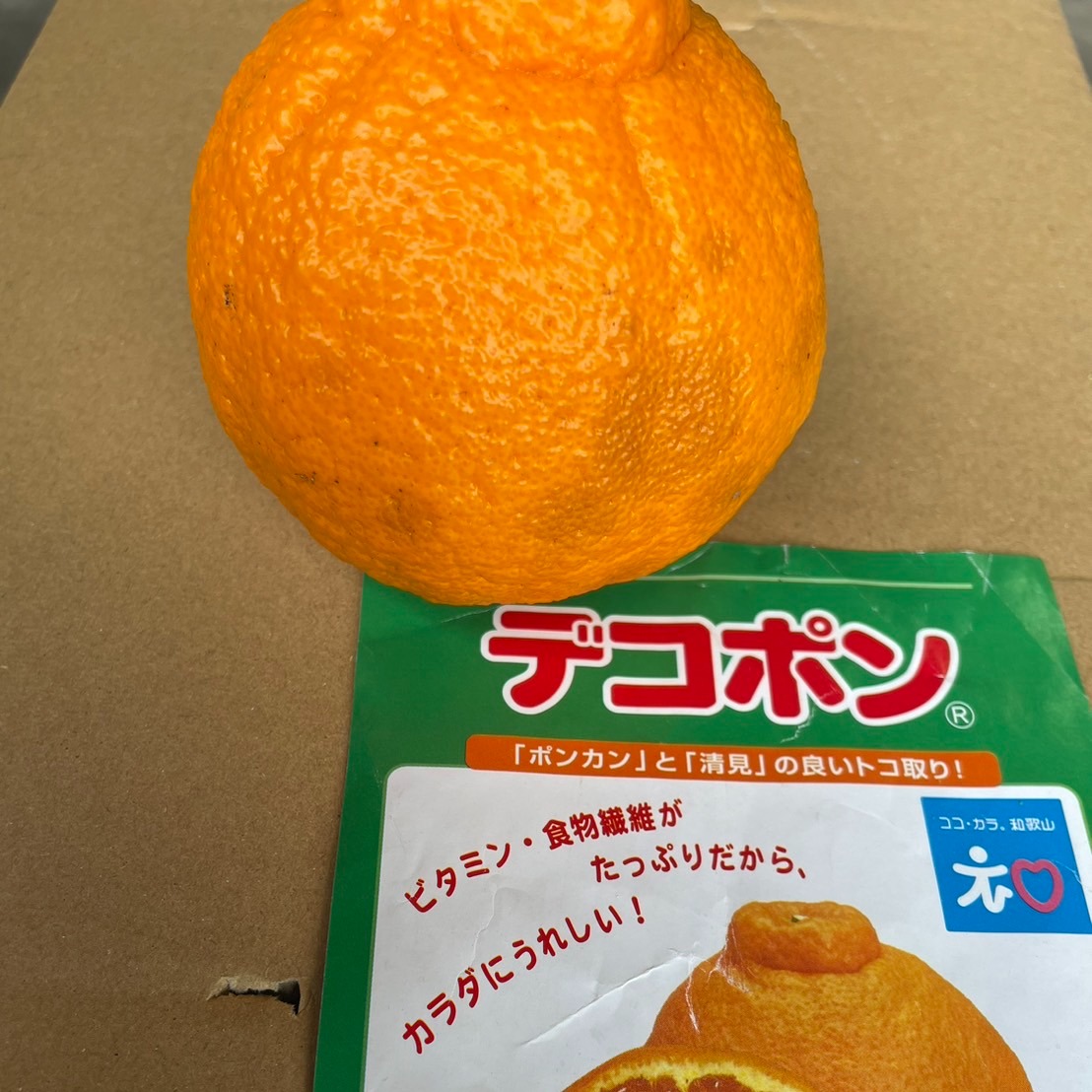 5.愛知県産　デコポン（不知火）約20kg　家庭用 家庭用 不知火 5キロ箱 （20玉から24玉入）デコポンと同じ品質 みかん