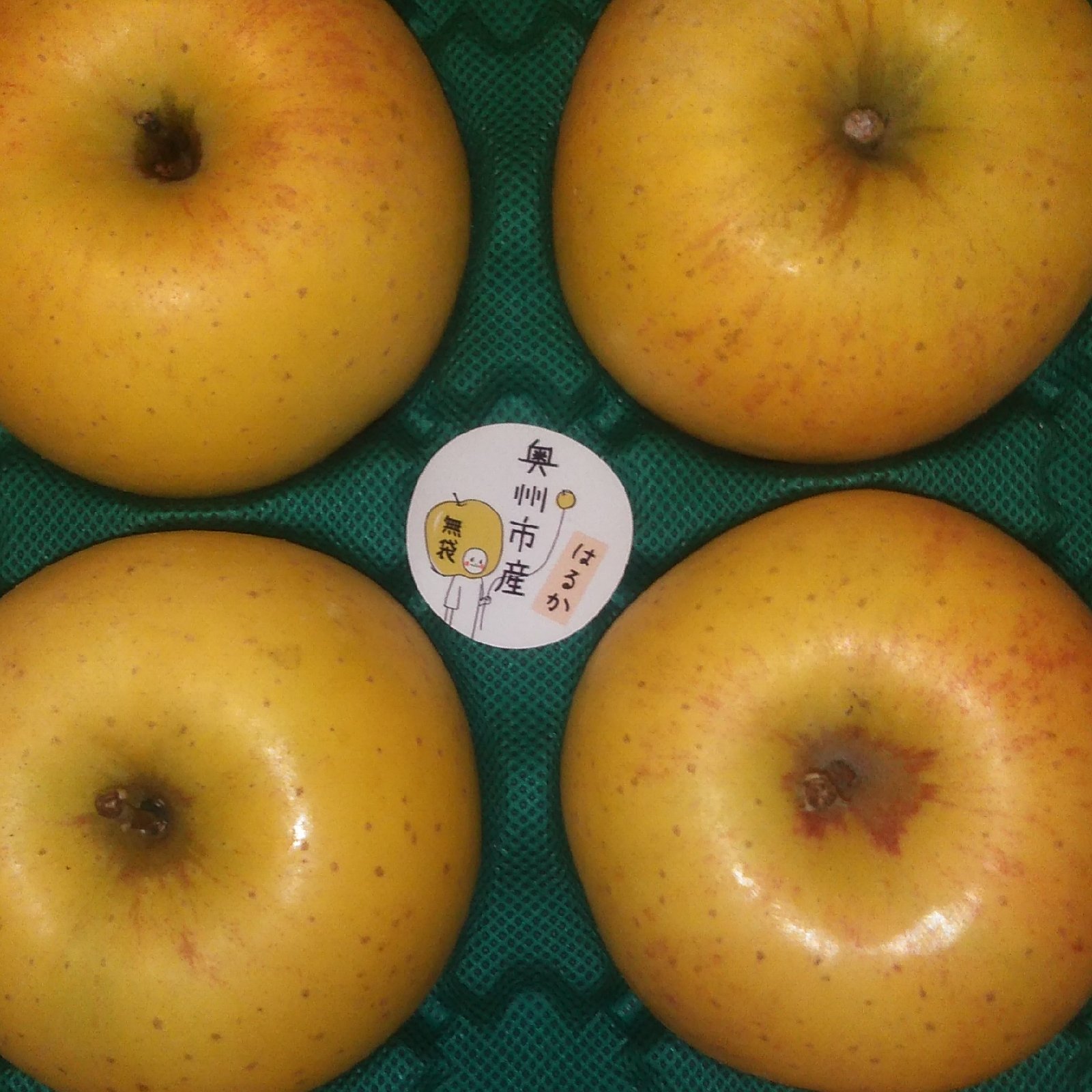 ミツなし】サンはるか5kg箱 ｜ 果物/りんご 産直アウル 農家・漁師など