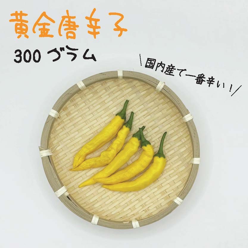 黄金唐辛子 黄金唐辛子 約300g 宮崎産 冷凍 激辛 収穫後に急速冷凍 ｜ 野菜