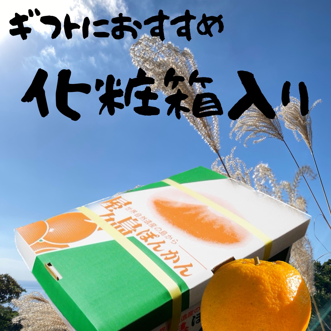 贈答用】屋久島産ぽんかん 5kg ｜ 果物/オレンジ・その他みかん 産直