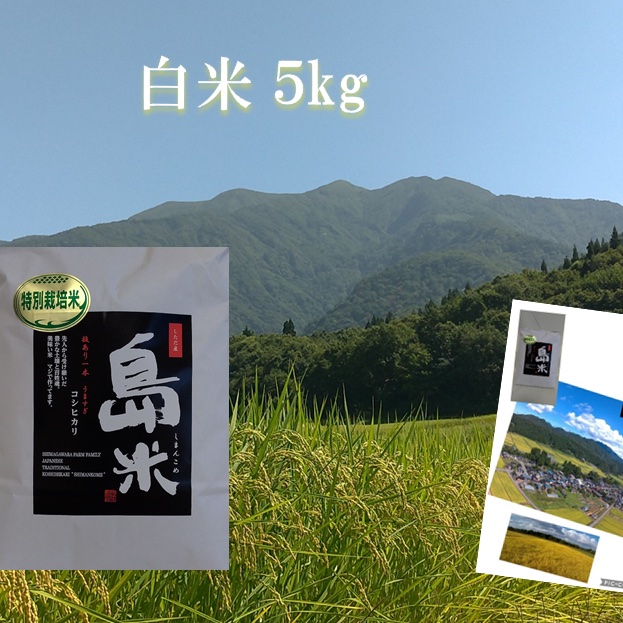 新米R7産 幻の米 従来品種コシヒカリ最上流の上級米白米5x | 米・穀物