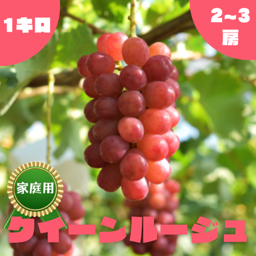 家庭用】クイーンルージュ・1kg・2~3房 | 果物/ぶどう 産直アウル 農家