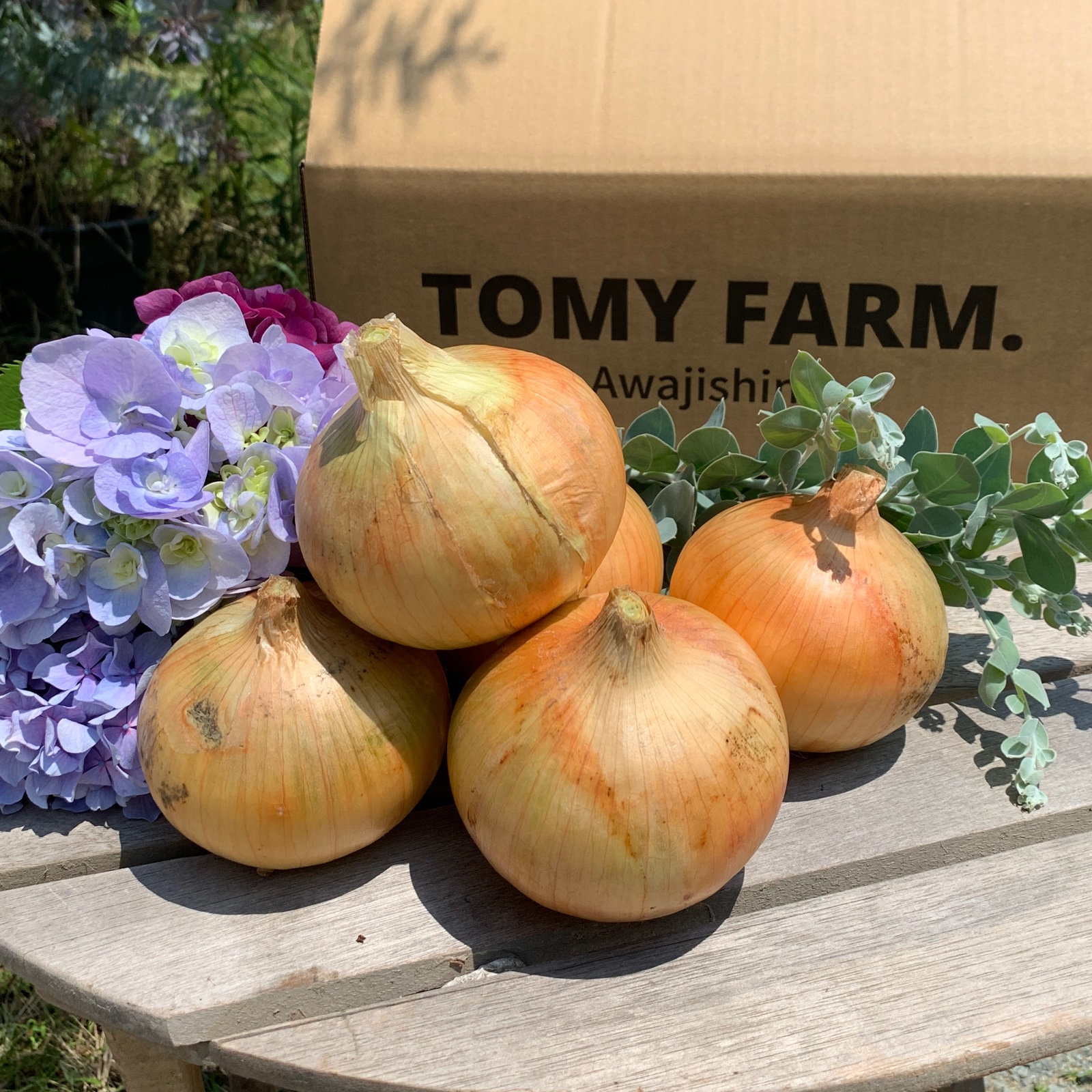 熟成玉ねぎ 淡路島産玉ねぎ ターザン 5キロ 野菜 玉ねぎ 産直アウル 農家から直接野菜などの食材を購入できる産地直送の宅配通販サイト