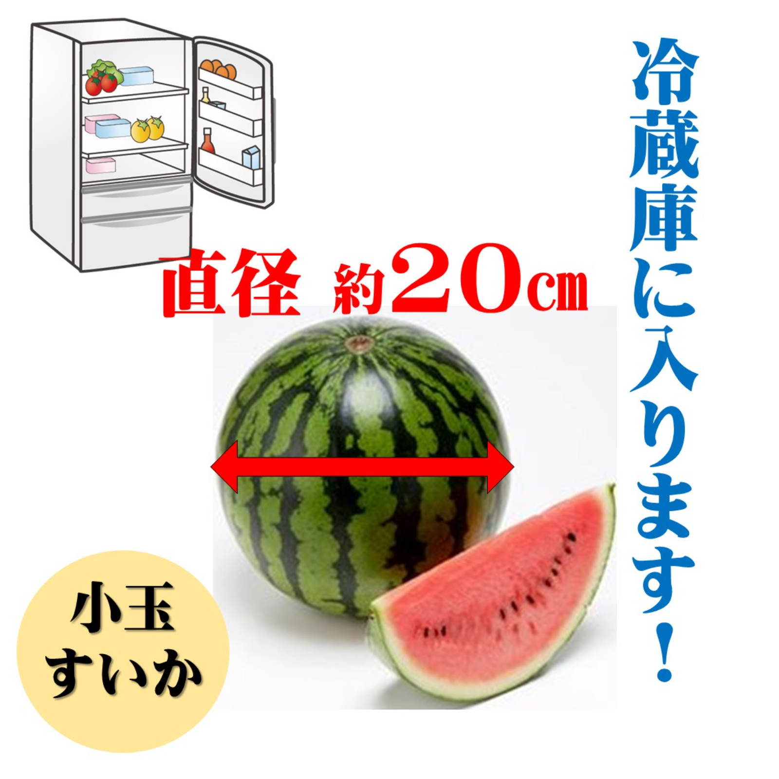 小玉スイカ 南魚沼八色産 3kg×2玉 八色小町 ｜ 果物/スイカ 産直