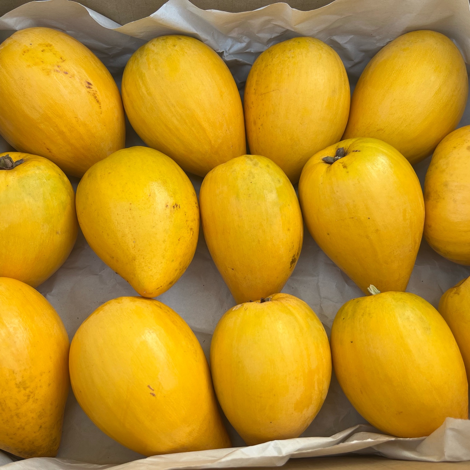 沖縄県産 カニステル(エッグフルーツ) | 果物/その他果物 産直アウル