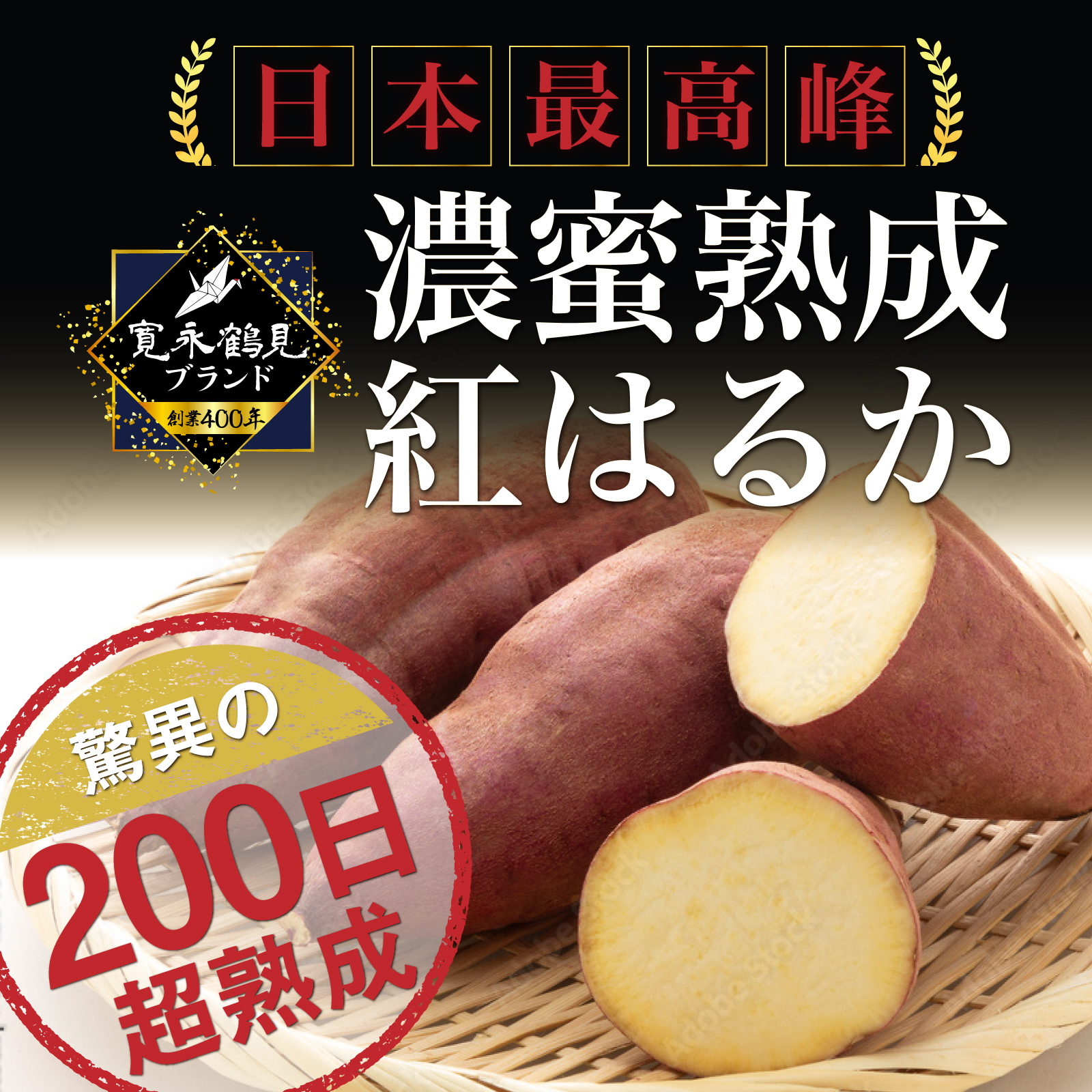 📺️日テレ沸騰ワード10紹介📺10周年記念番組で話題の日本最高峰200日