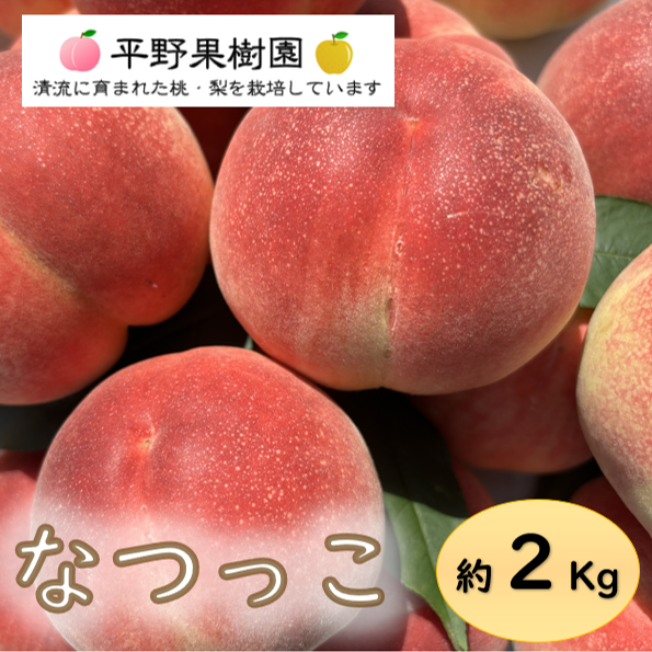 桃源郷錦 なつっこ桃 2kg箱(6〜8個入り) ｜ 果物/もも 産直アウル 農家